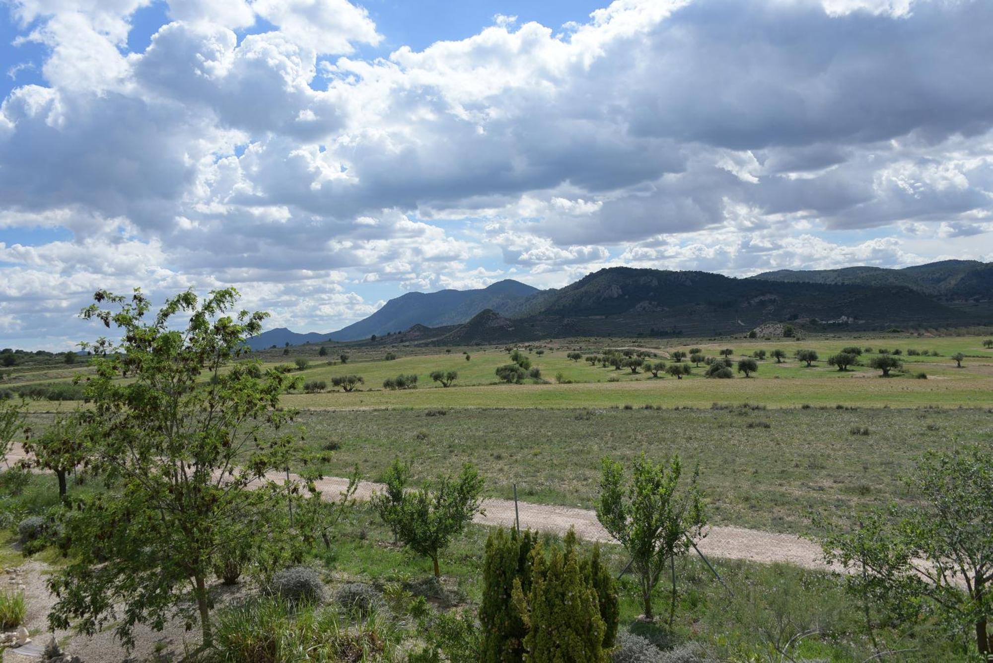 Hacienda Cabreras *