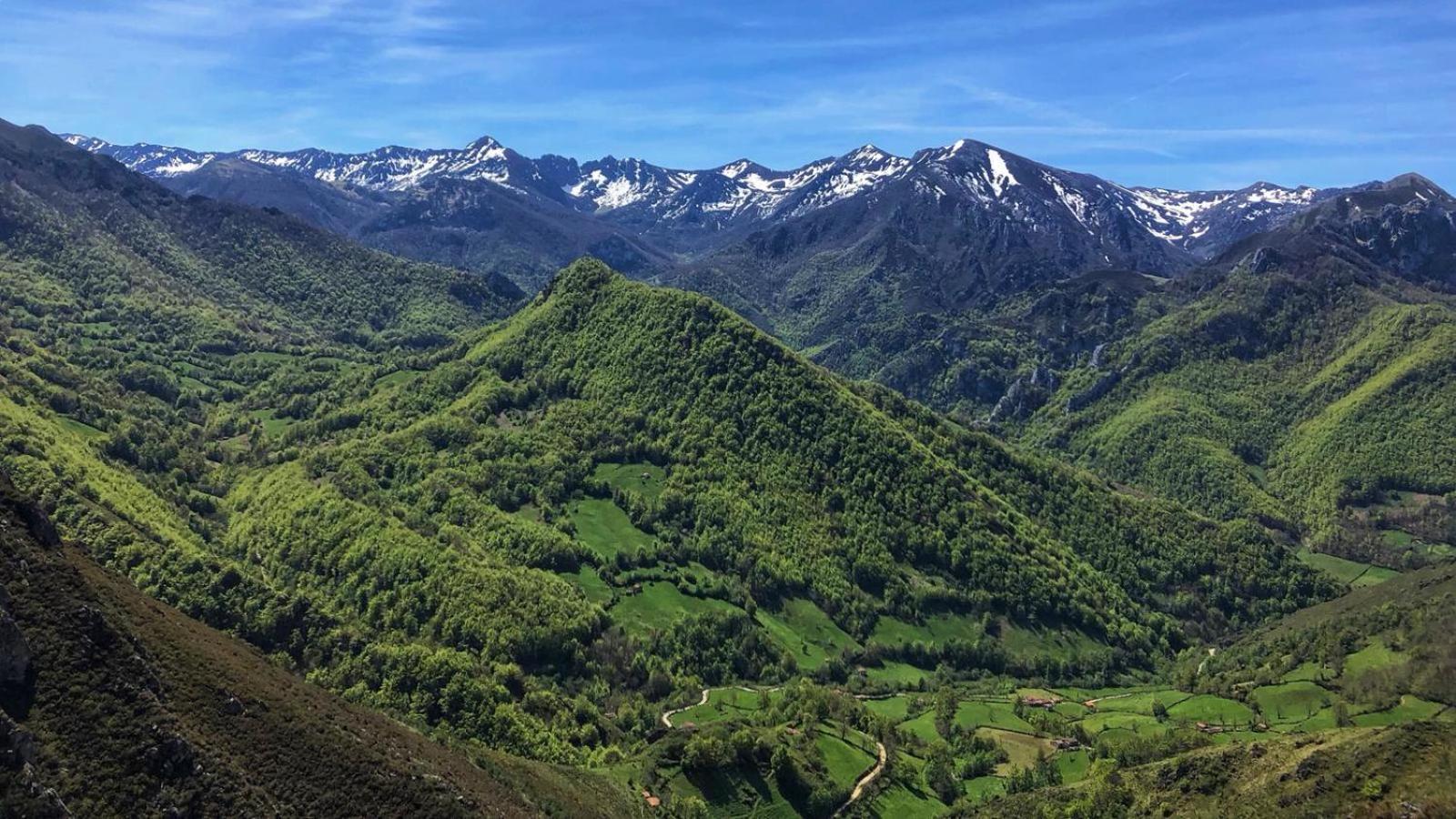 La Berrea Cabanaquinta