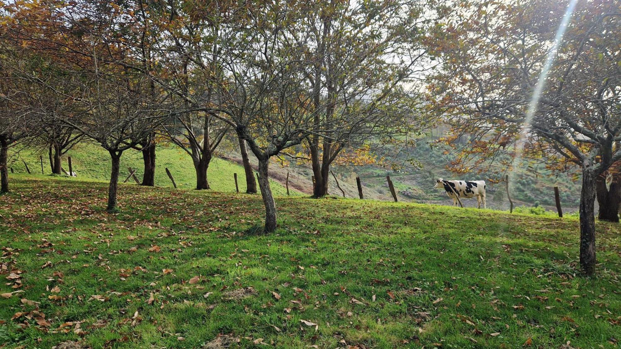 Casa Bezales En Cantabria Holiday home *