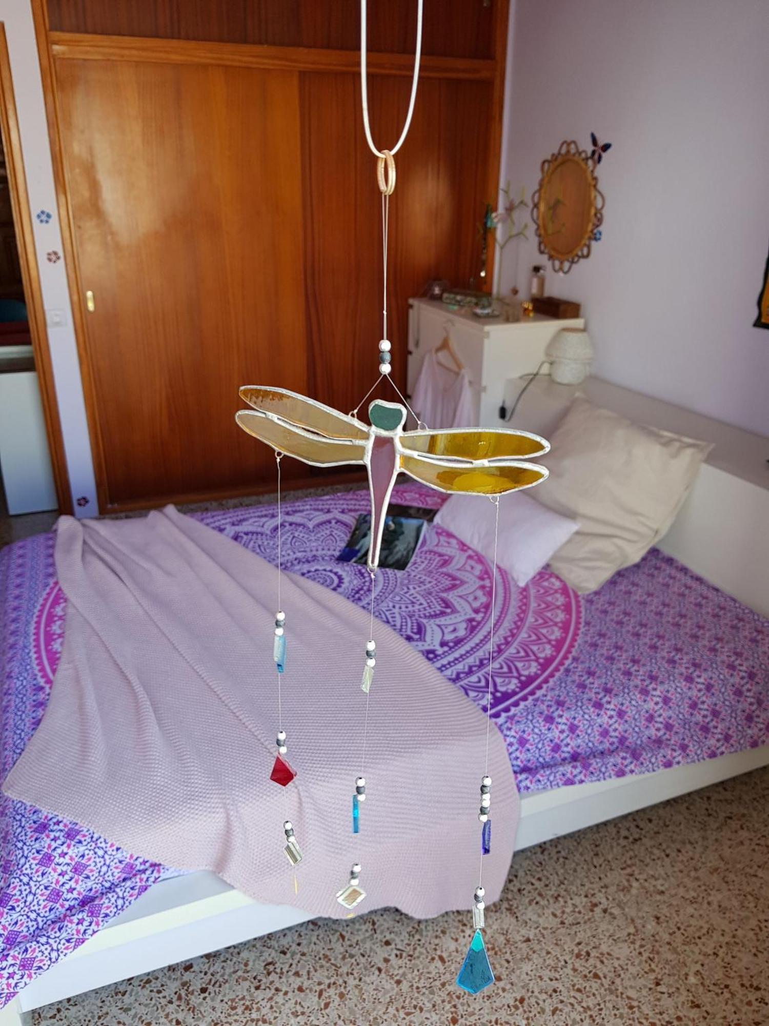 The Magic Dragonfly! Santa Cruz de Tenerife