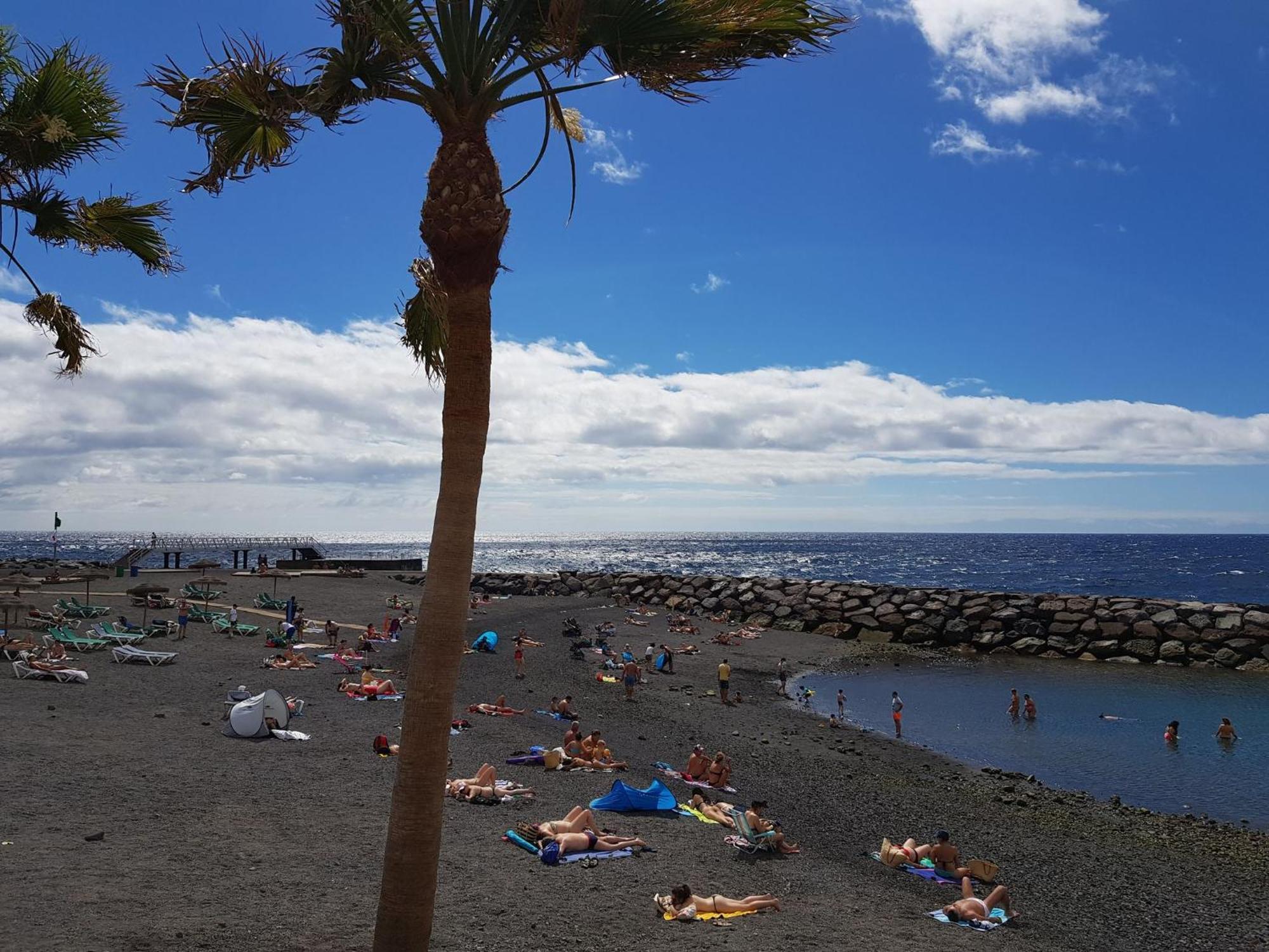 The Magic Dragonfly! 3* Santa Cruz de Tenerife