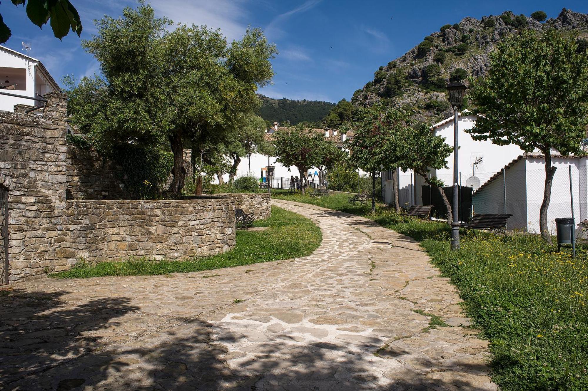 Apartamento San José Grazalema