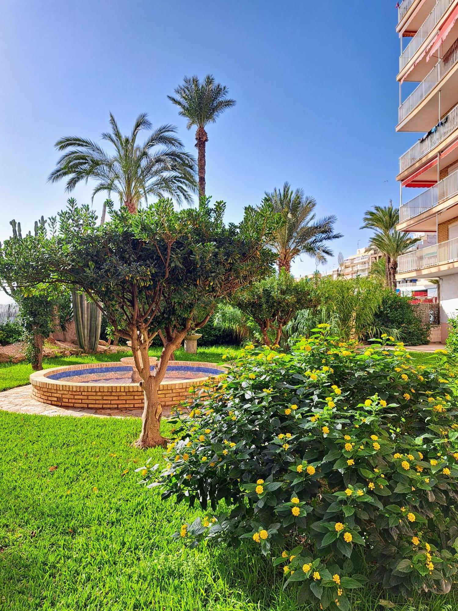 Garden Apartment *