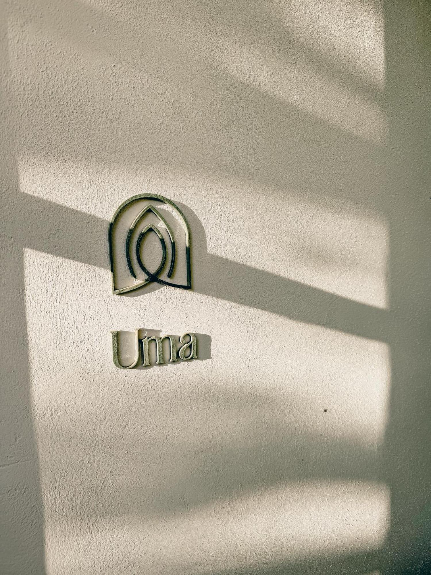 Viluz - Wellbeing Marbella Mijas