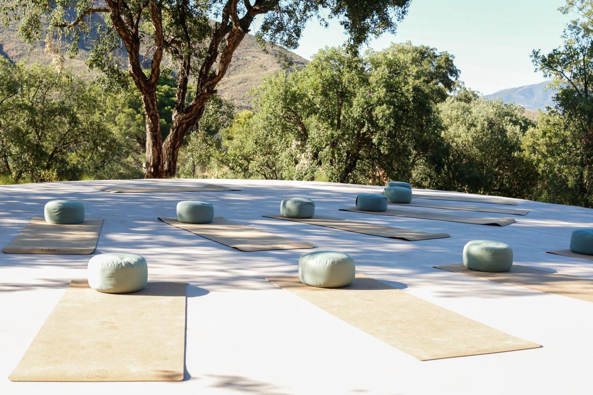 Viluz - Wellbeing Marbella Mijas