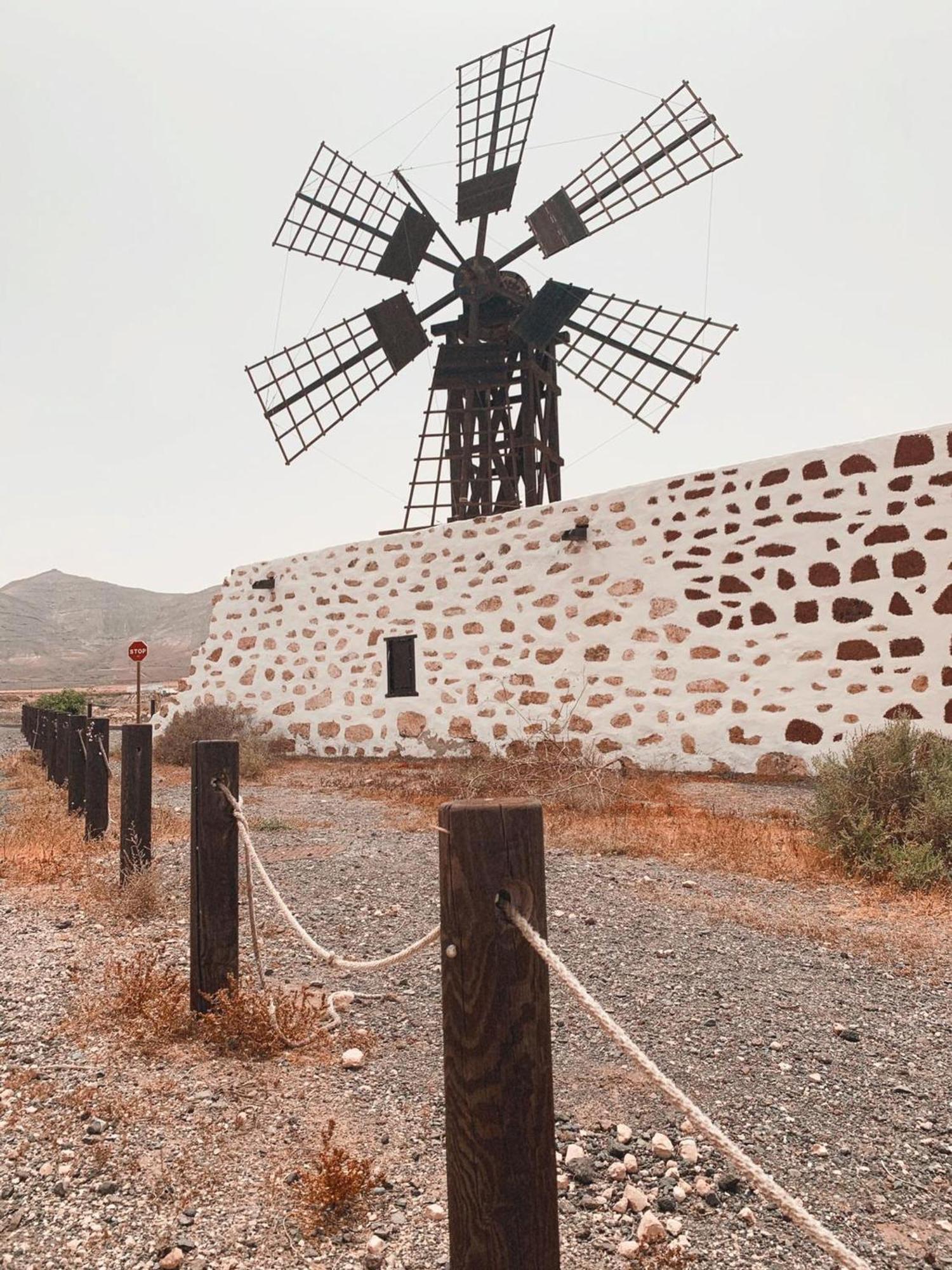 Calma On The Amazing In Fuerteventura * Cotillo
