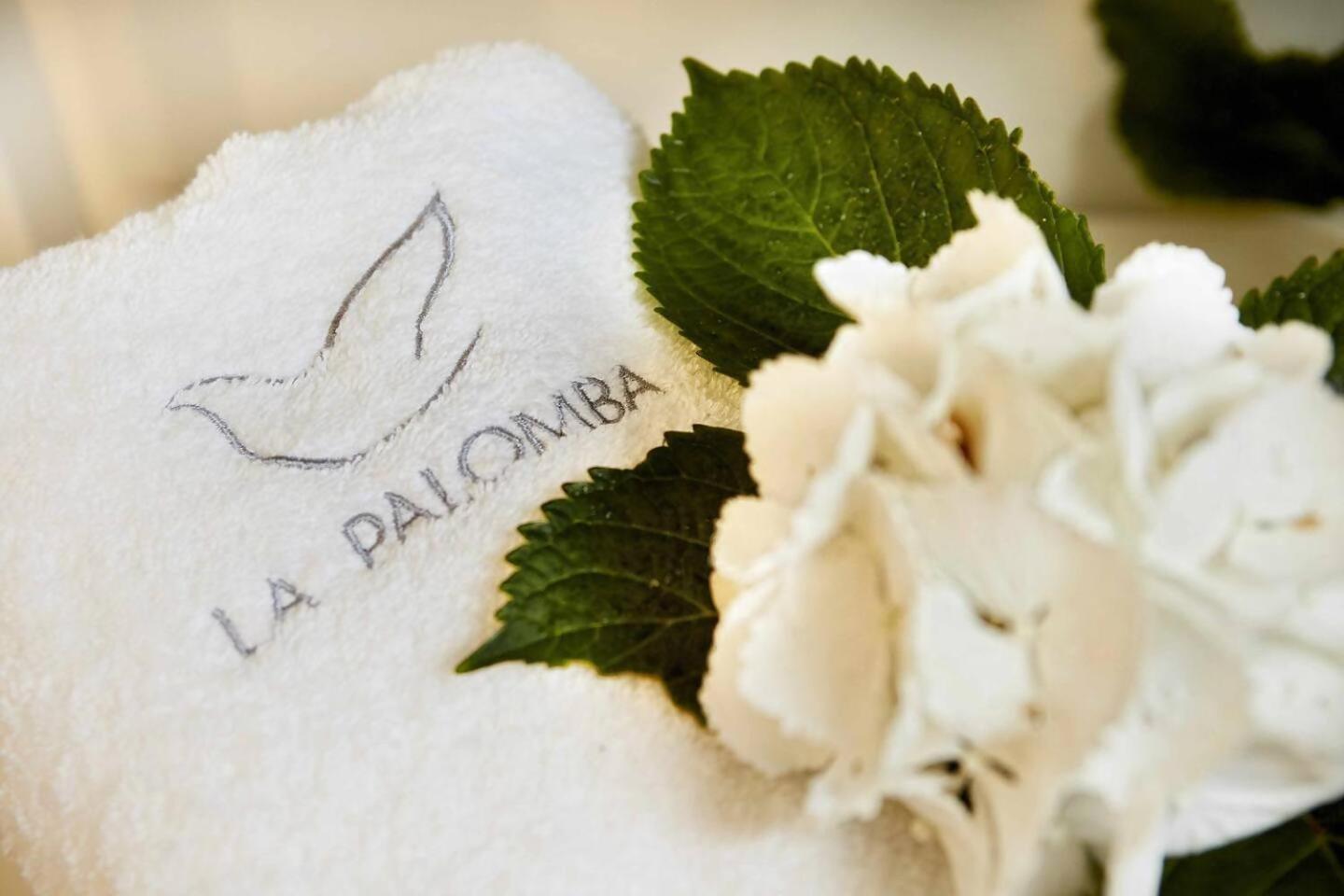 Holiday home Casa La Palomba Nature