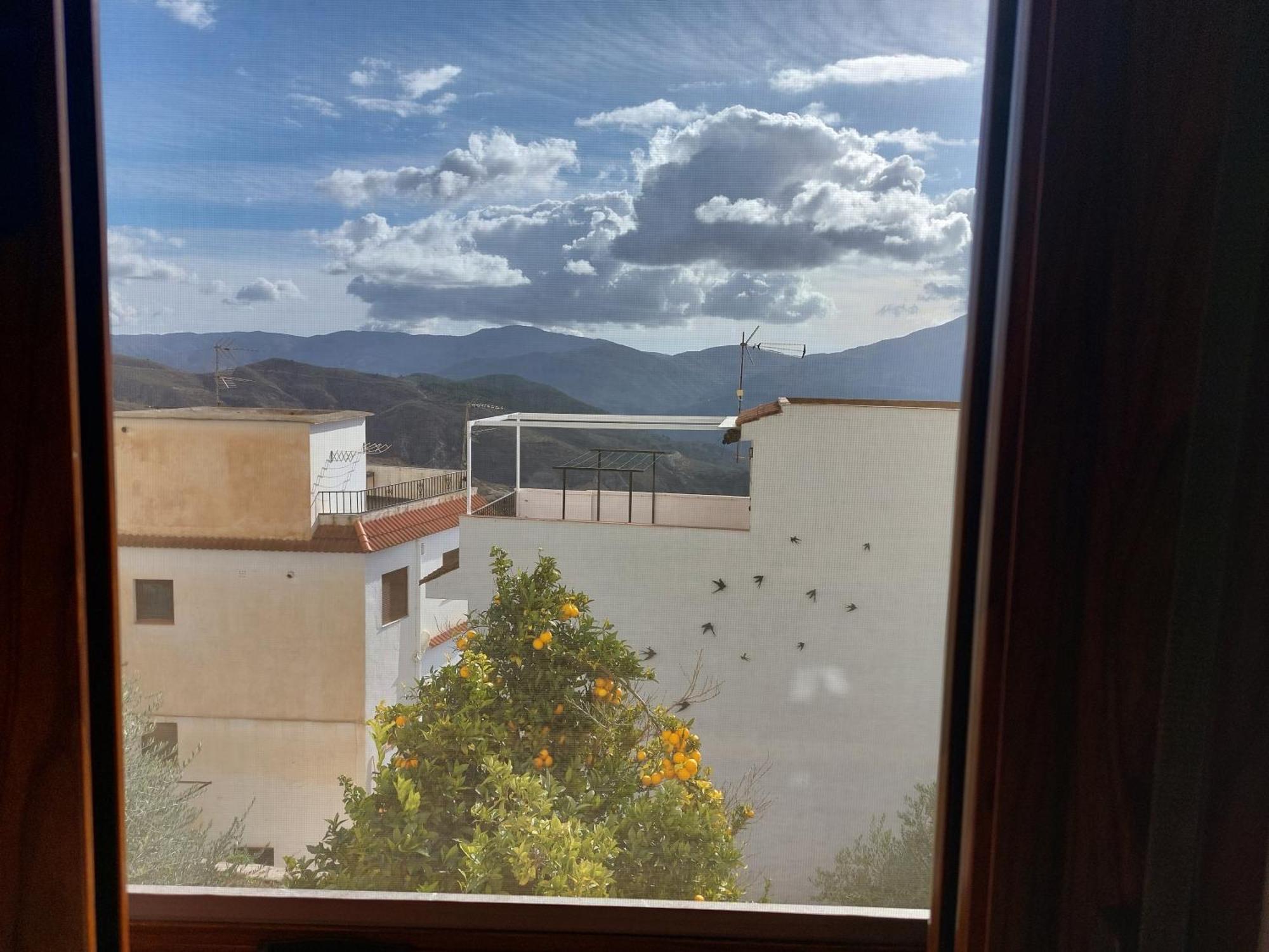 Apartamento El Tinao De La Brujita Soportujar