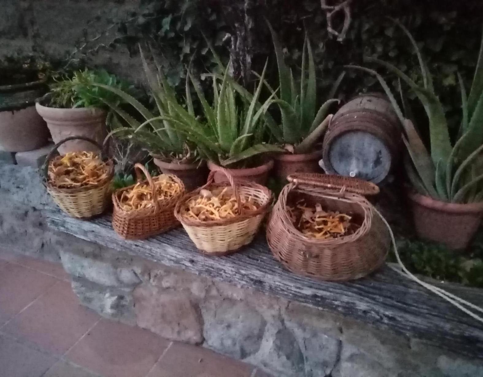 Сasa de vacaciones Cal Panxeta Balsareny