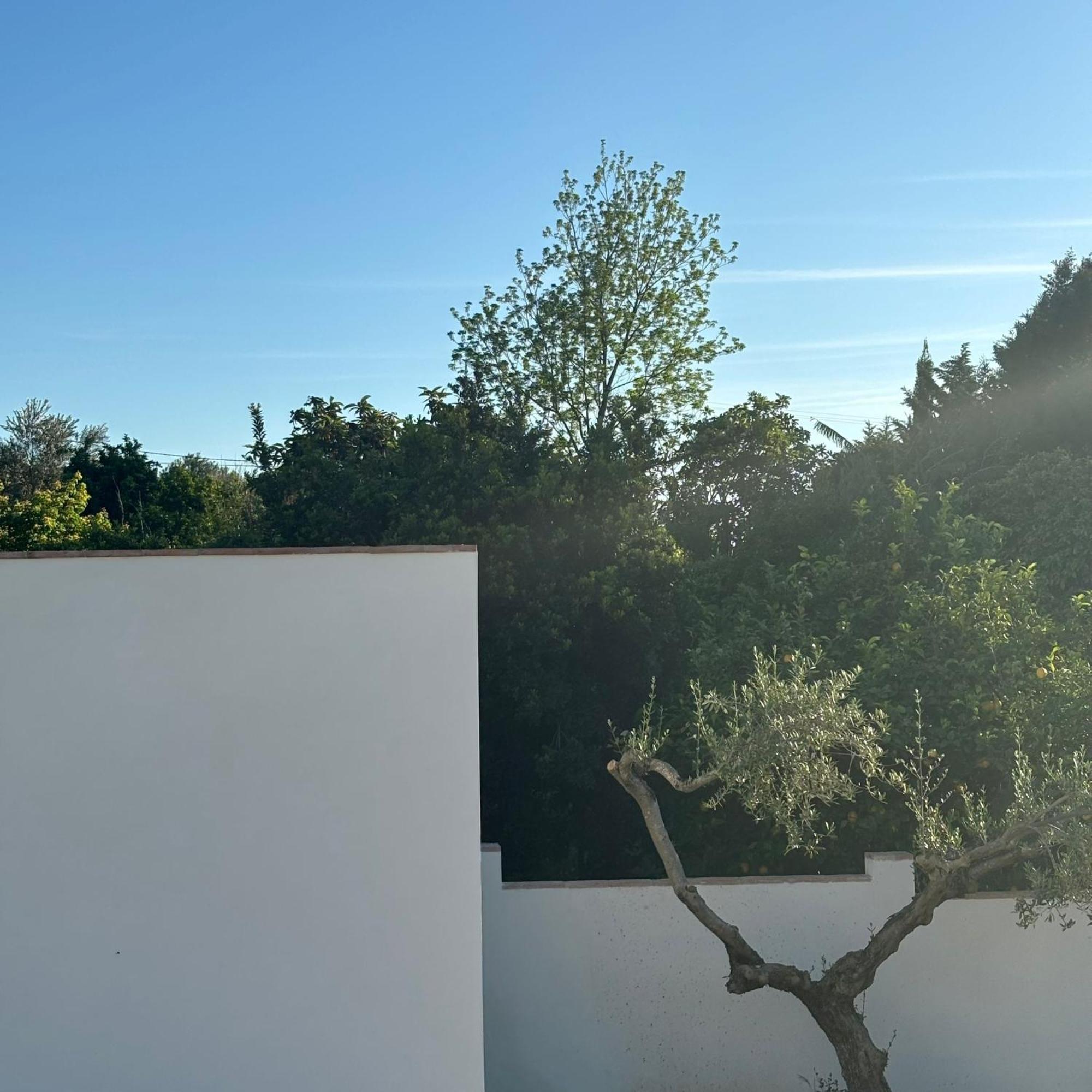 Casa Santos Arcos Vistas Y Parking Privado Bed and breakfast Arcos de la Frontera