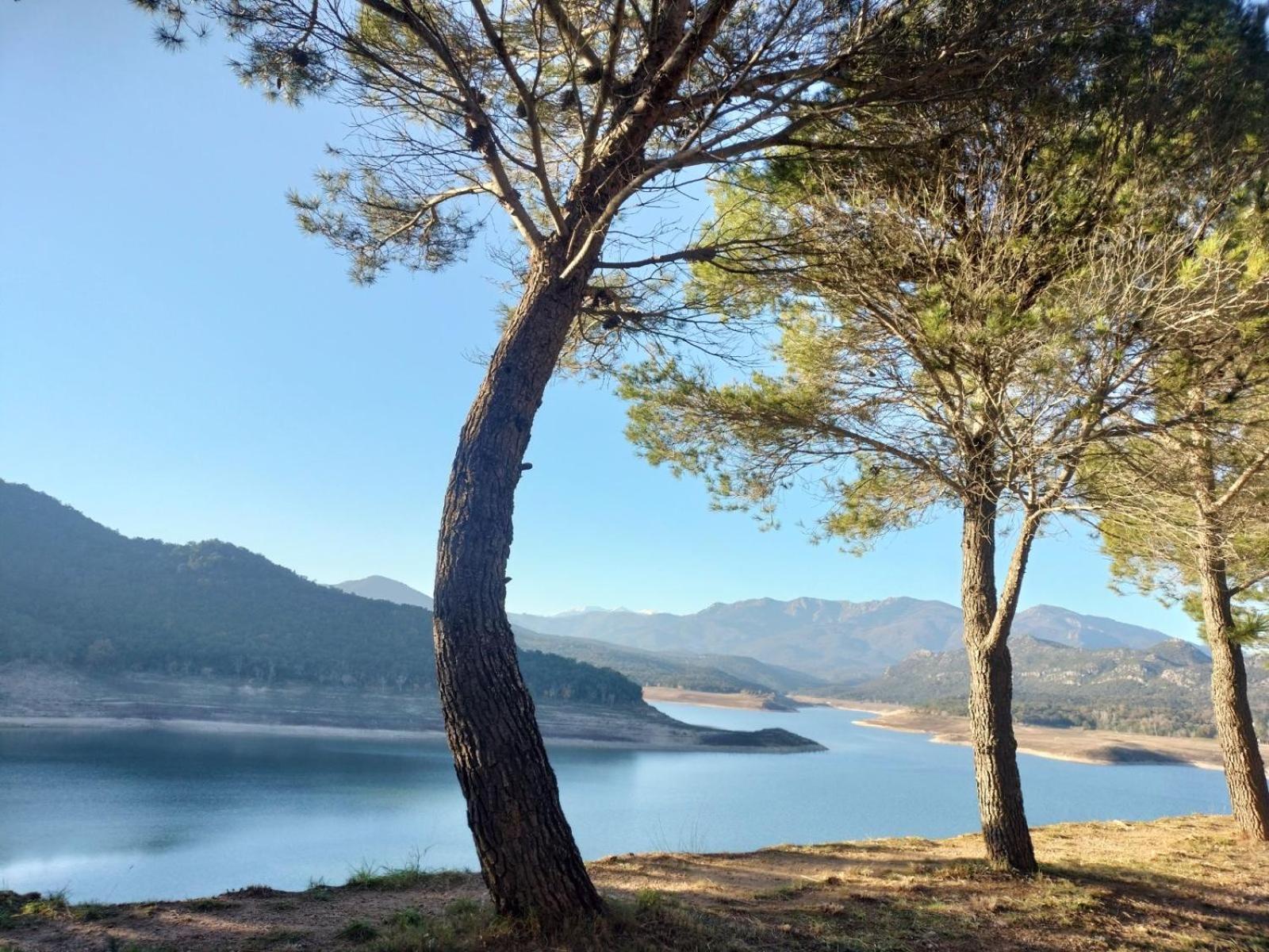 Douce Pause *