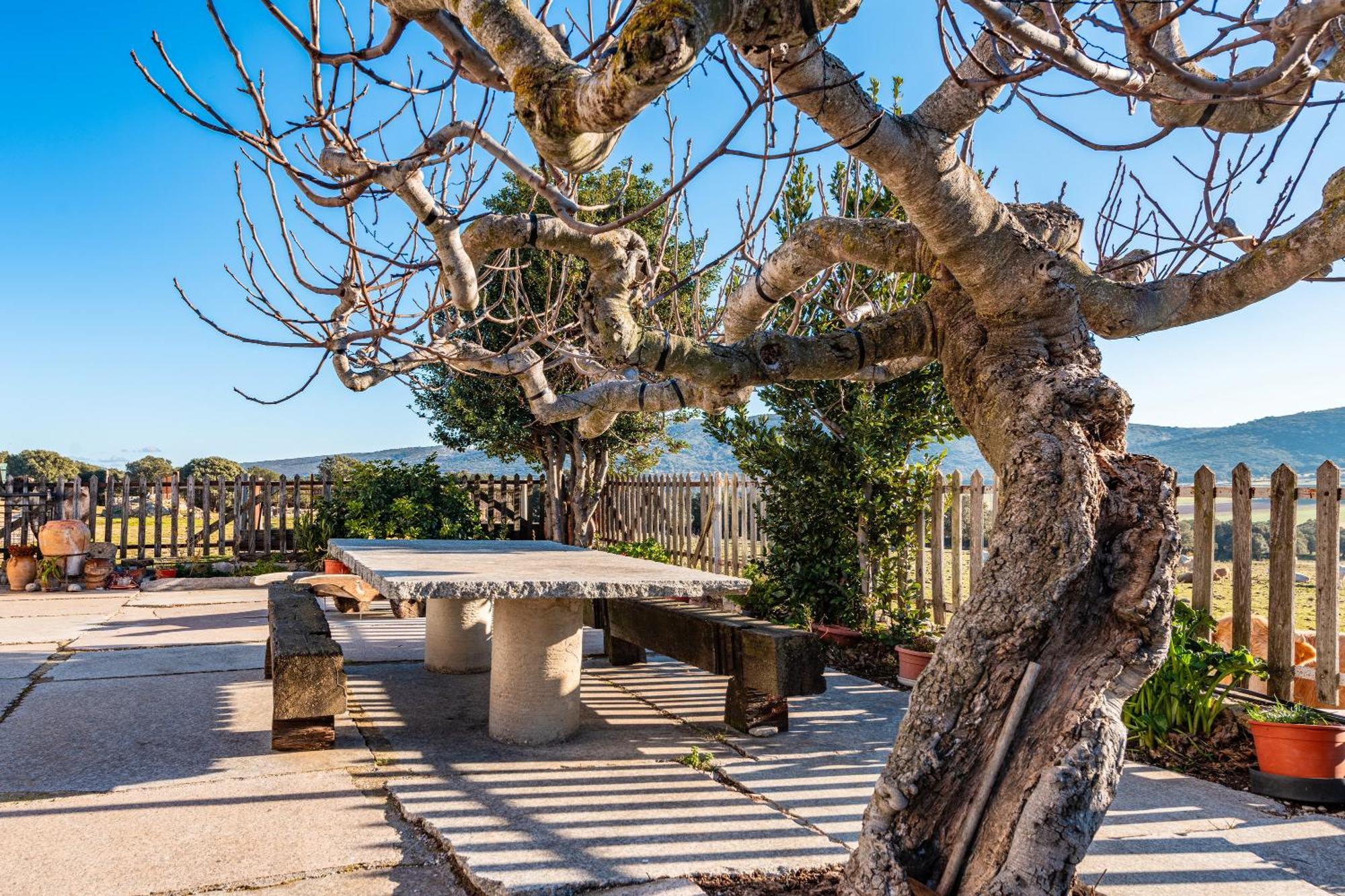 Holiday home Mas Vell