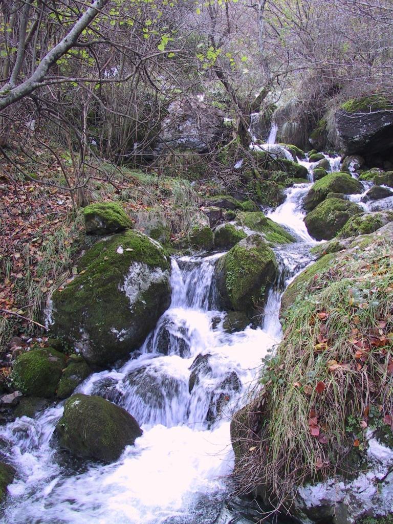 Casucas De Ason