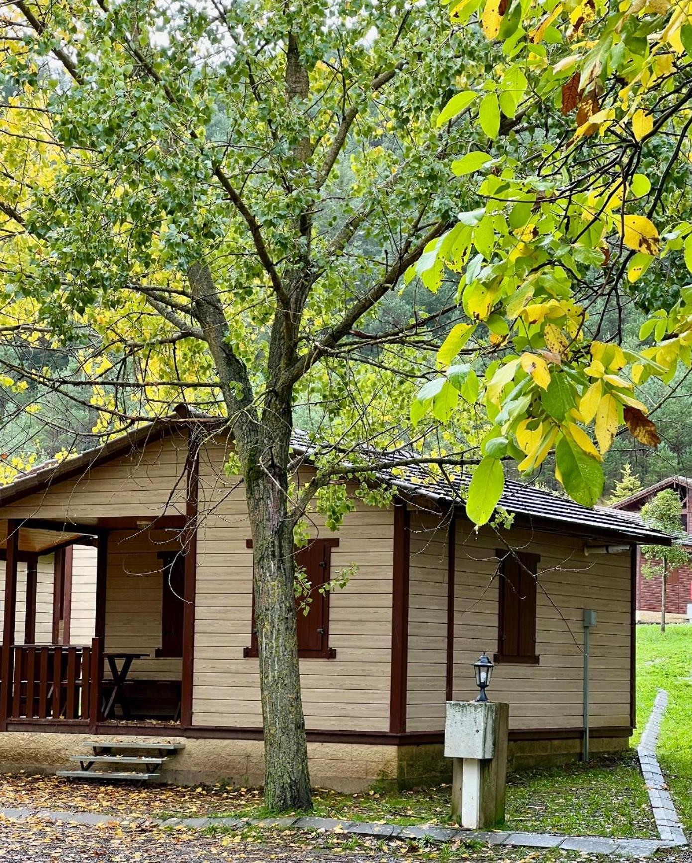 Campsite Valle De Hecho