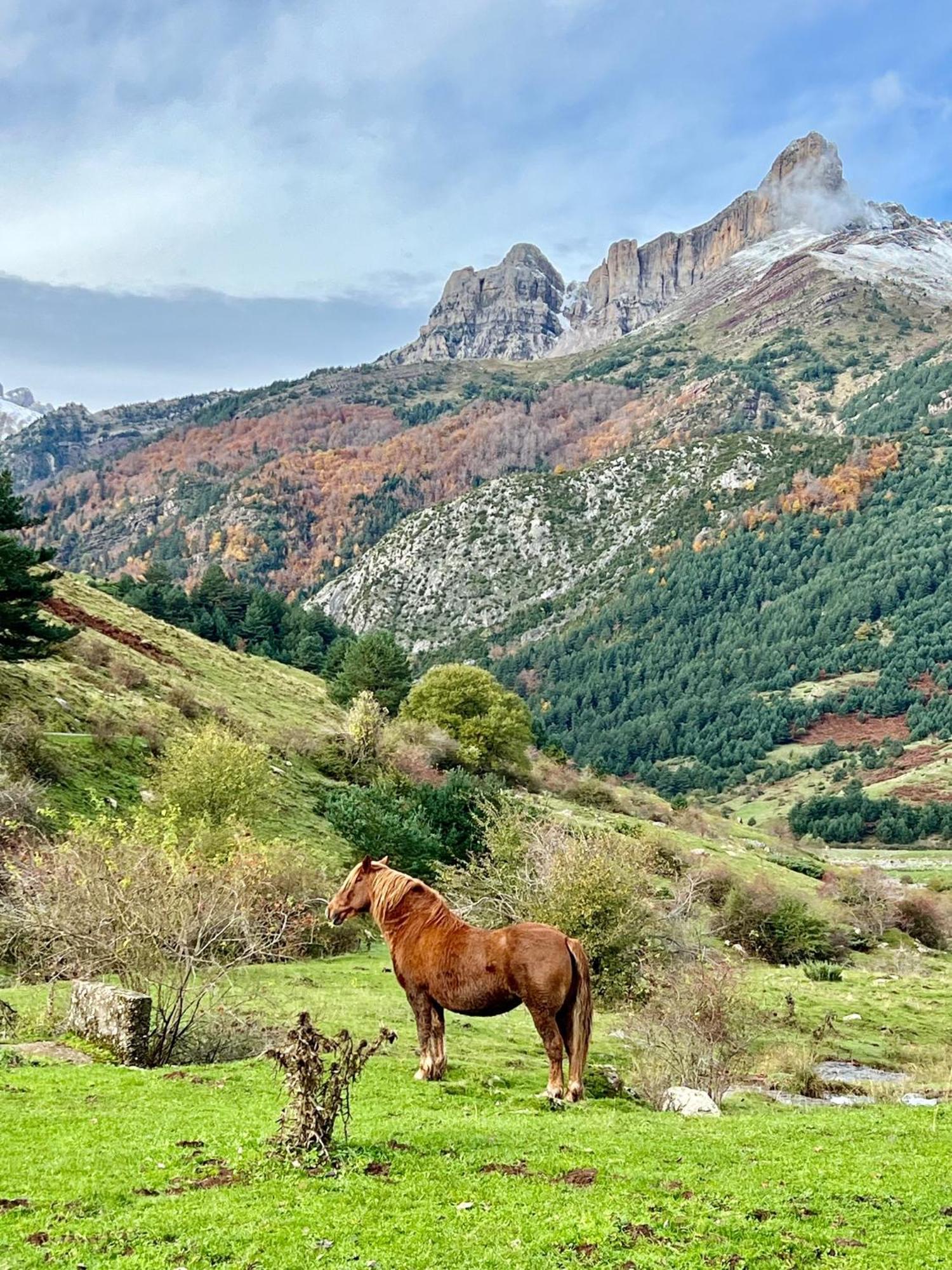 Valle De * Hecho