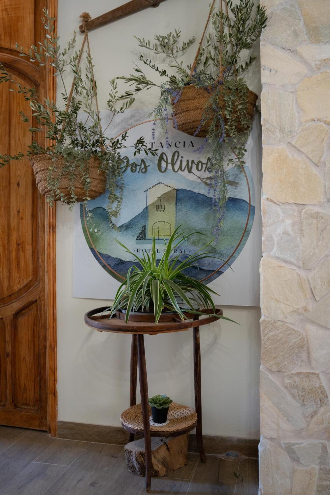 Boutique - Dos Olivos Quesa