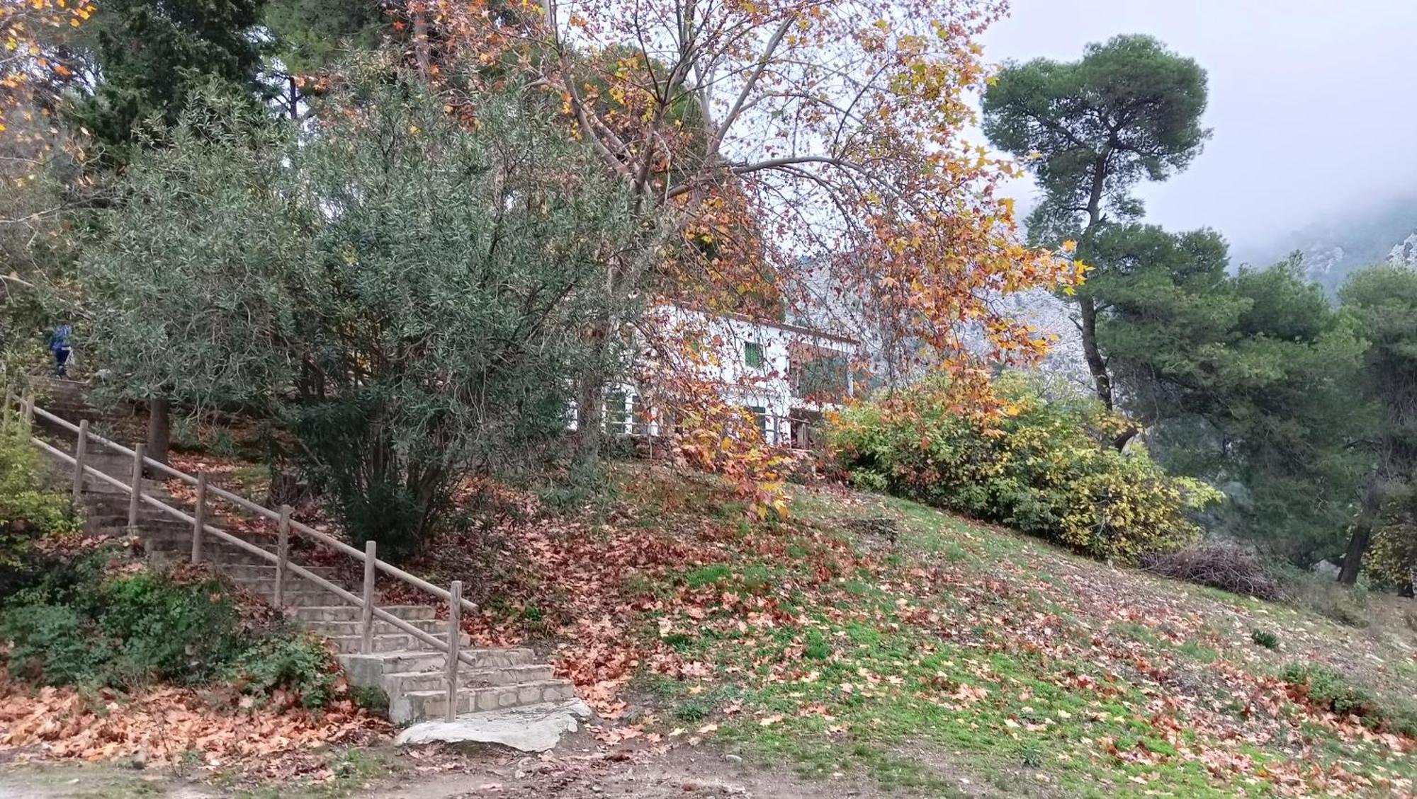 La Fuente * Alcaucín