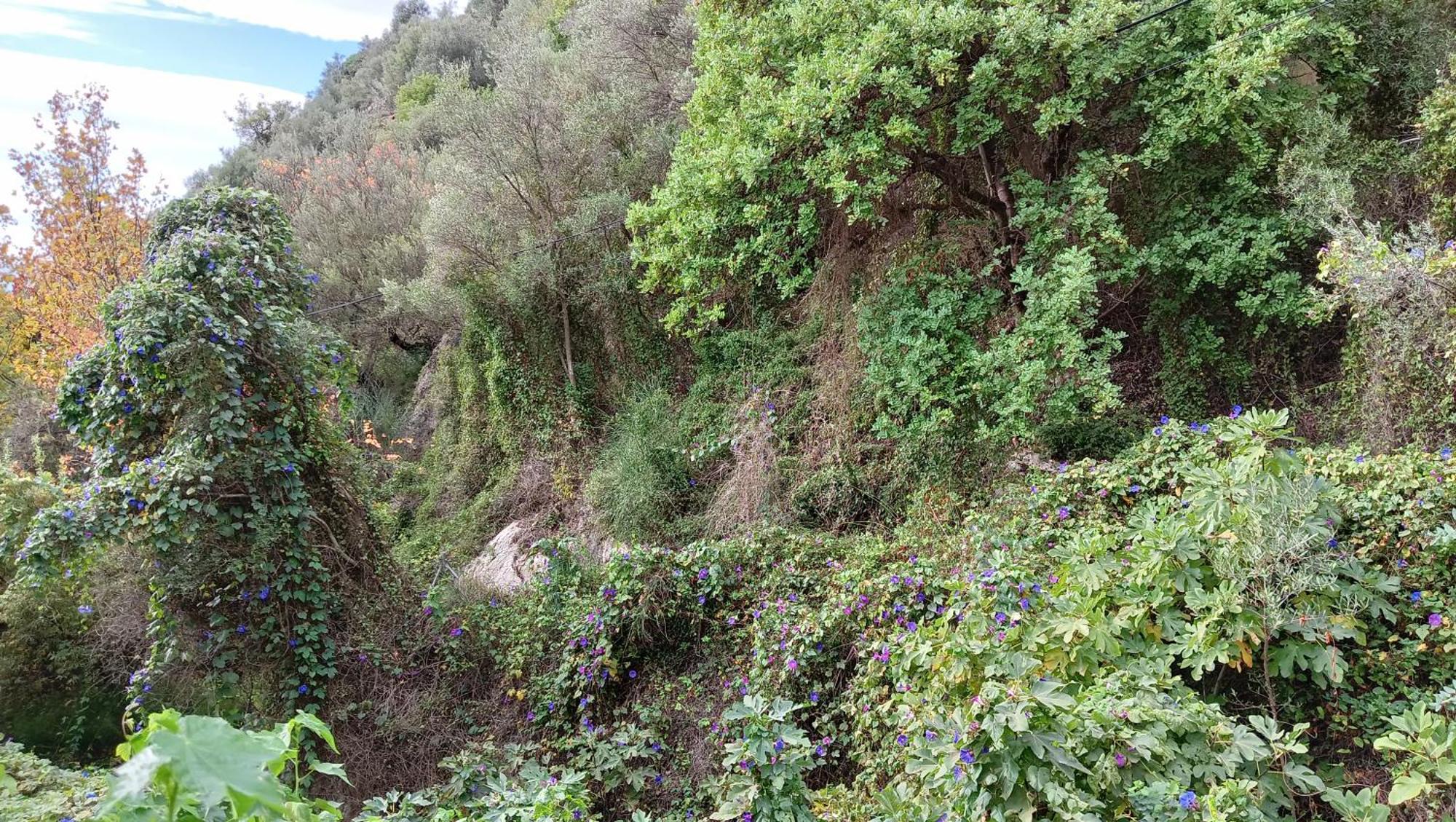 La Fuente Alcaucín