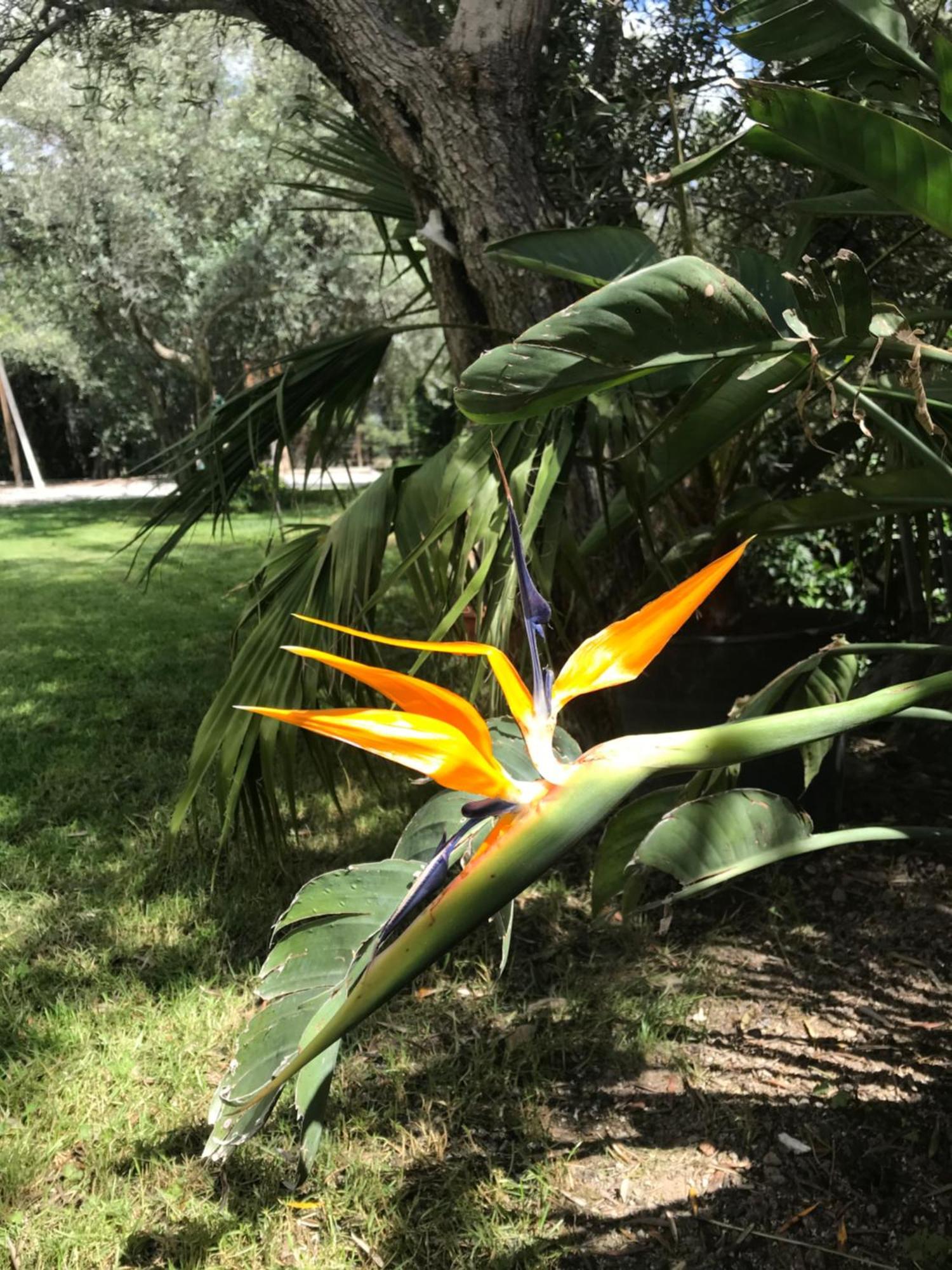La Loma De Ana Maria Сasa de vacaciones