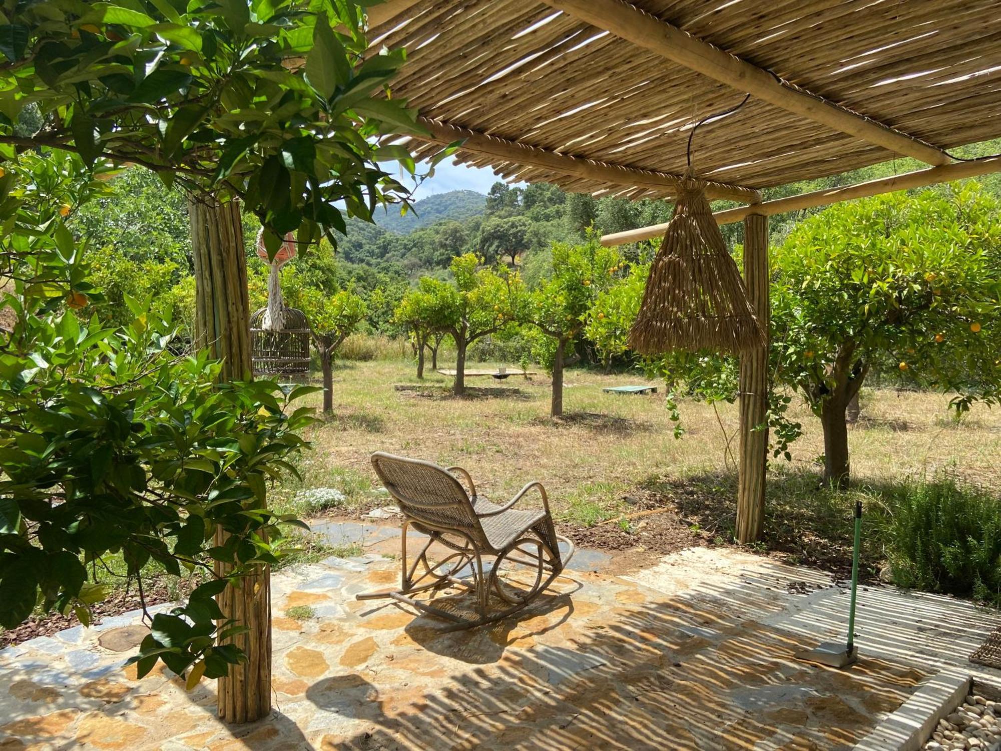 Bed & Breakfast The4elements Monda