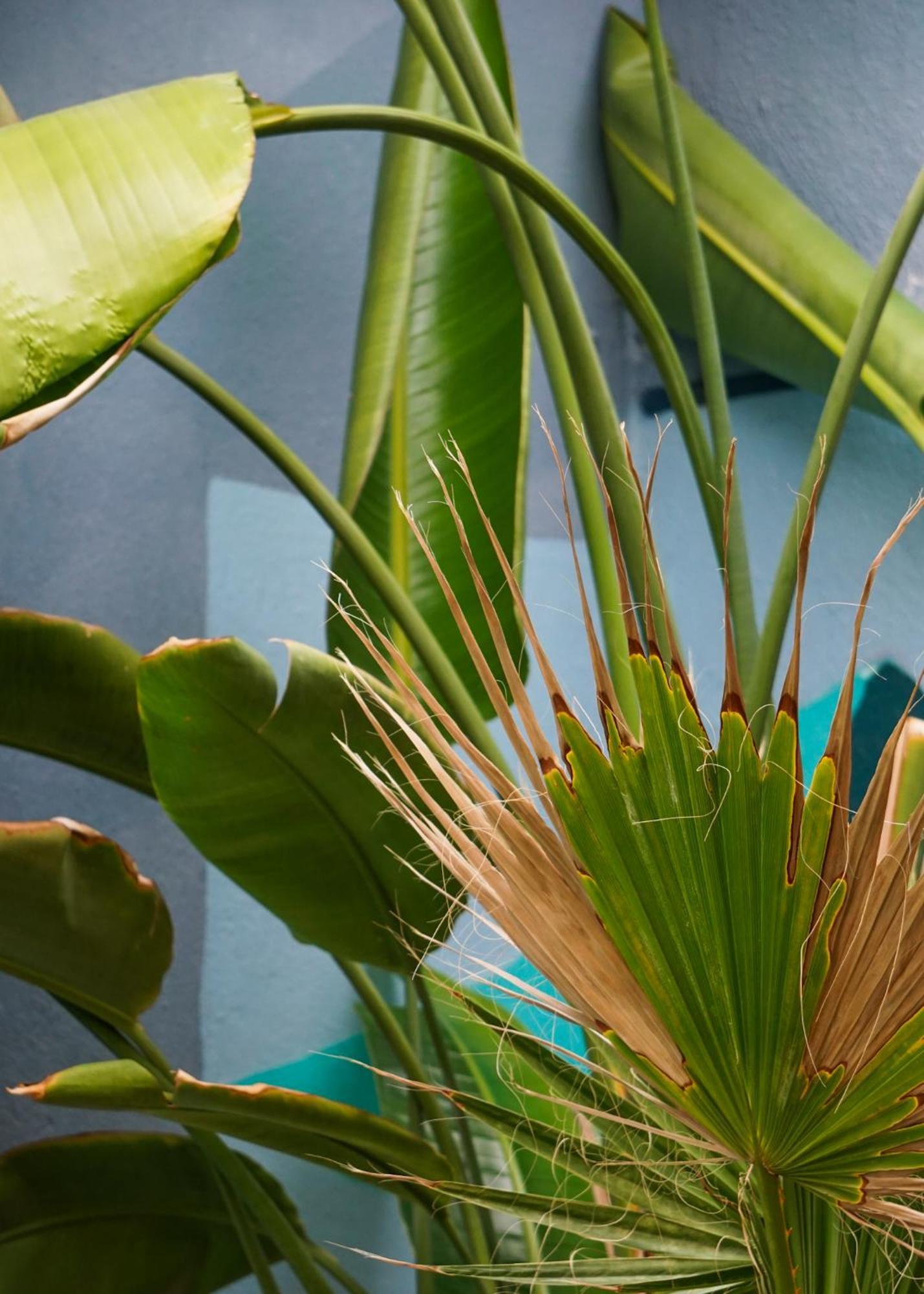 Guest house Tenerife Experience 2*