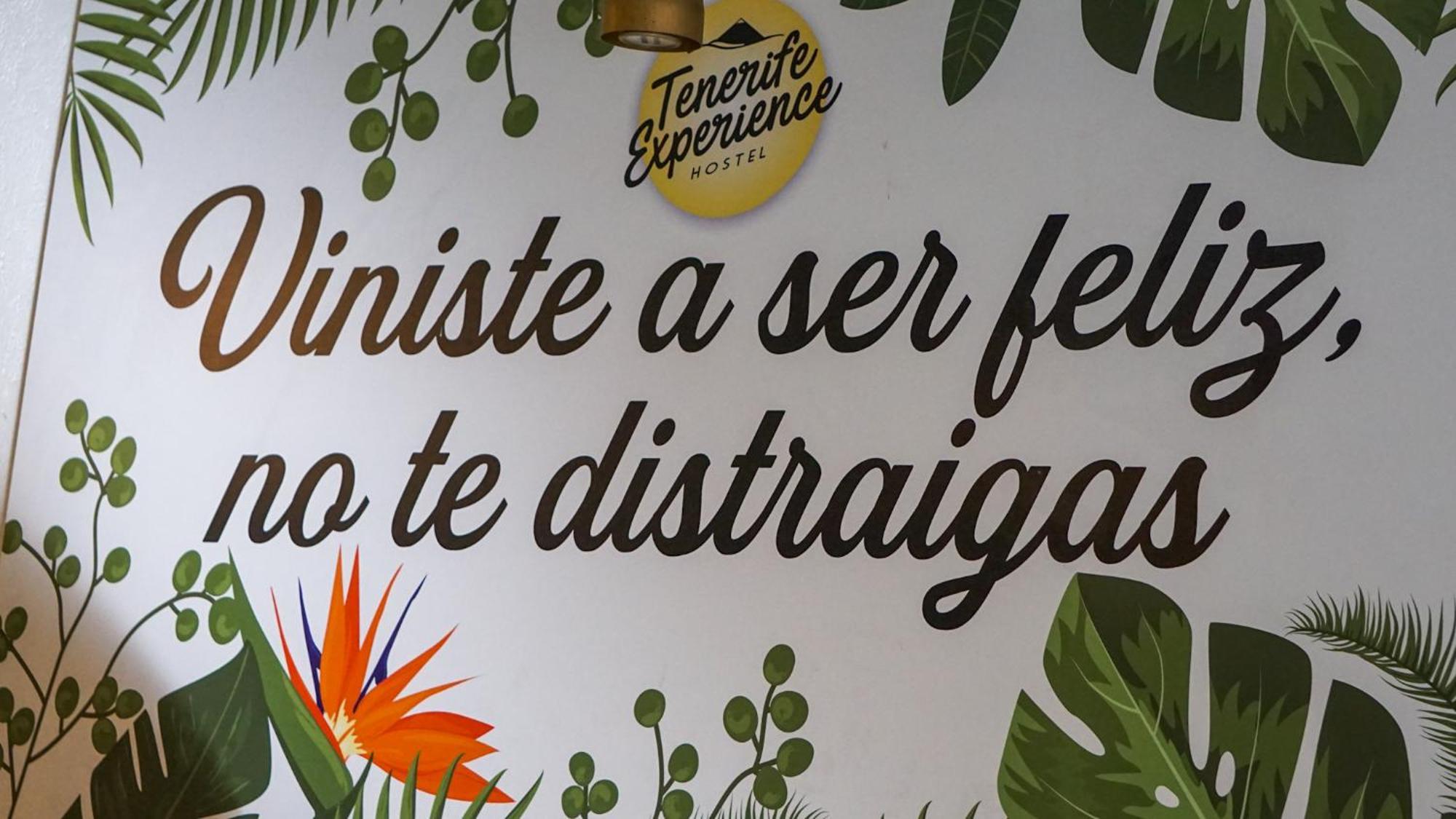 Tenerife Experience Guest house