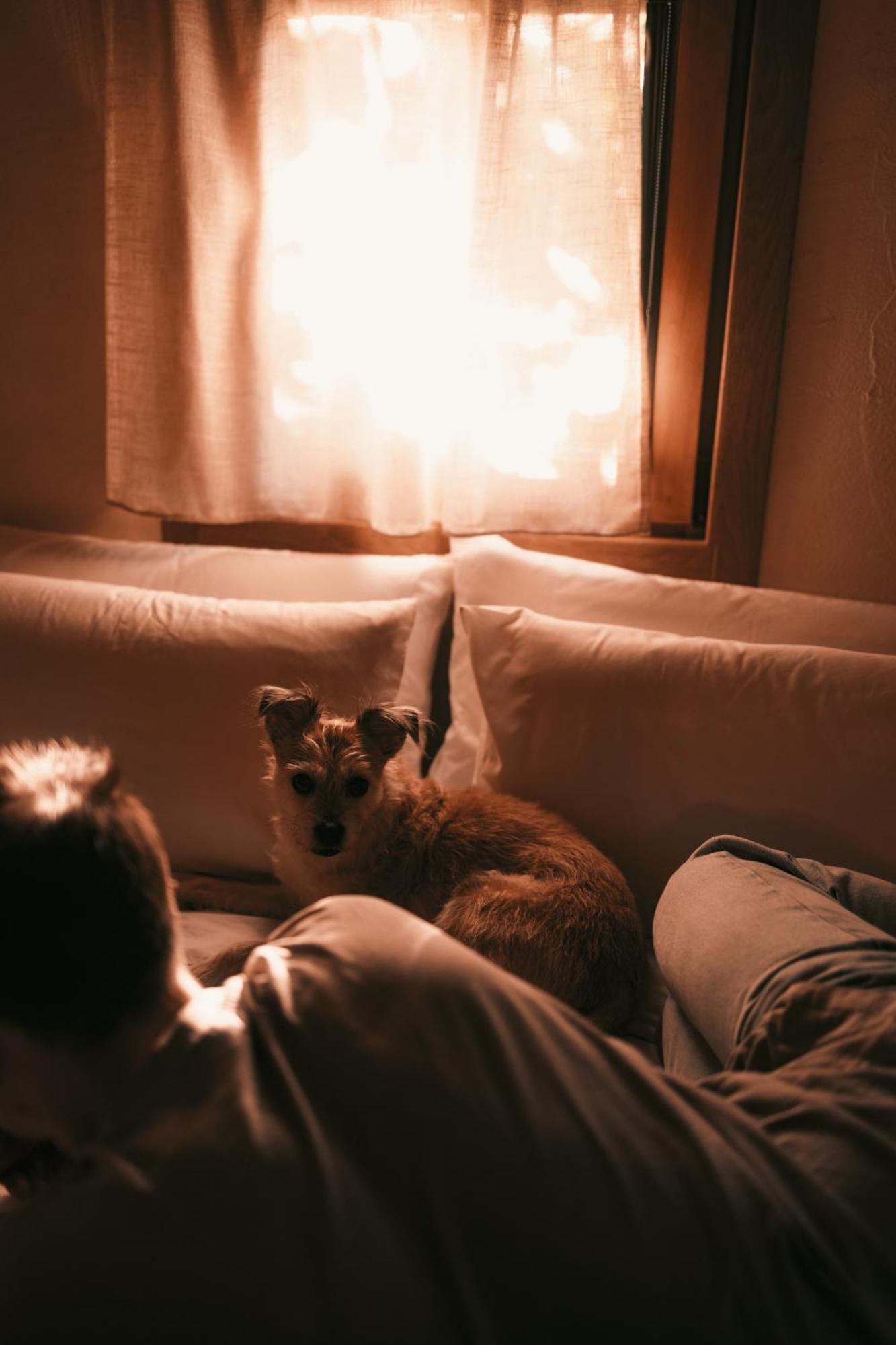 Inn Pet Friendly El Molino De Cantabria