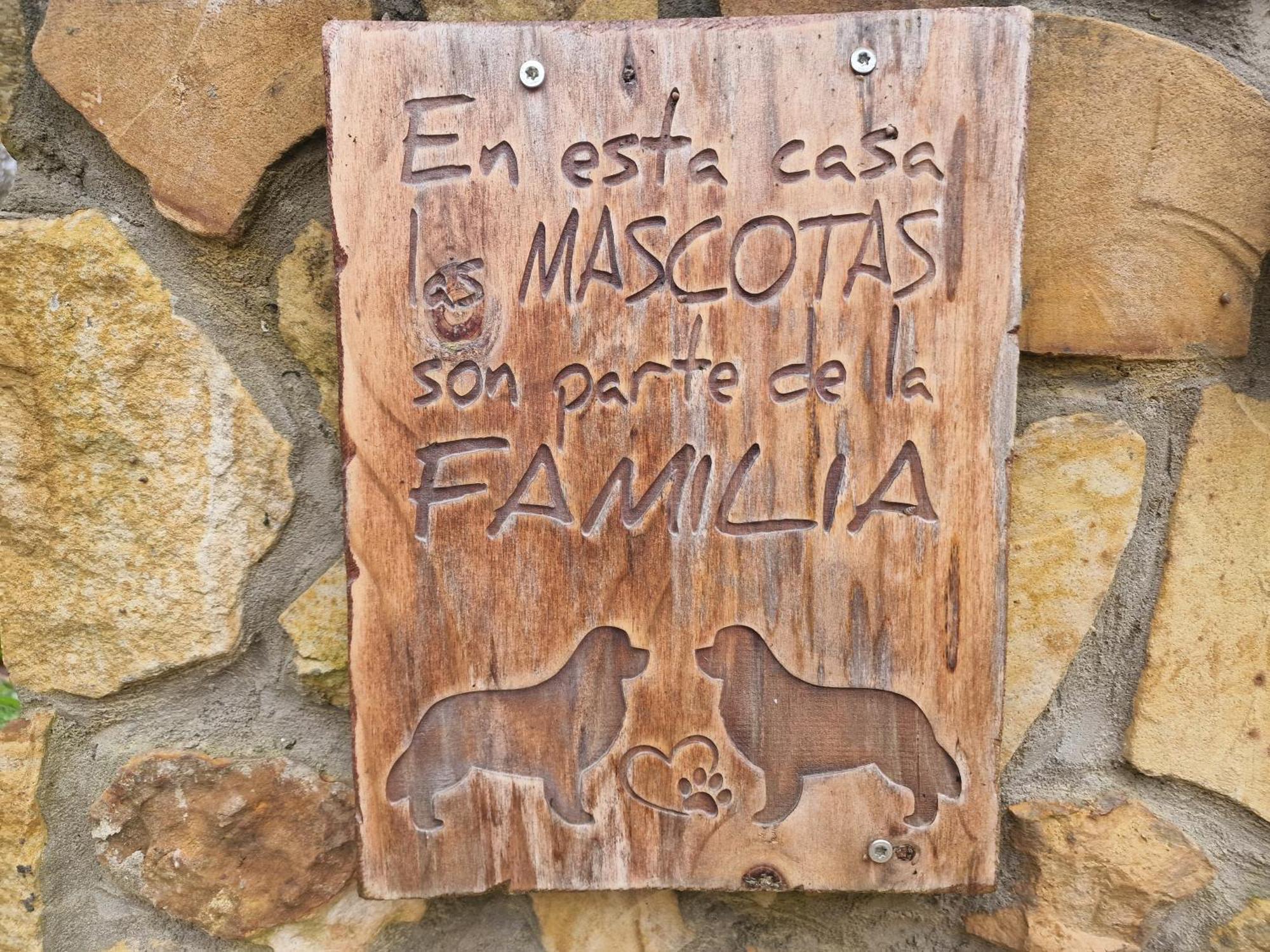 Pet Friendly El Molino De Cantabria Entrambasaguas (Entrambasaguas)
