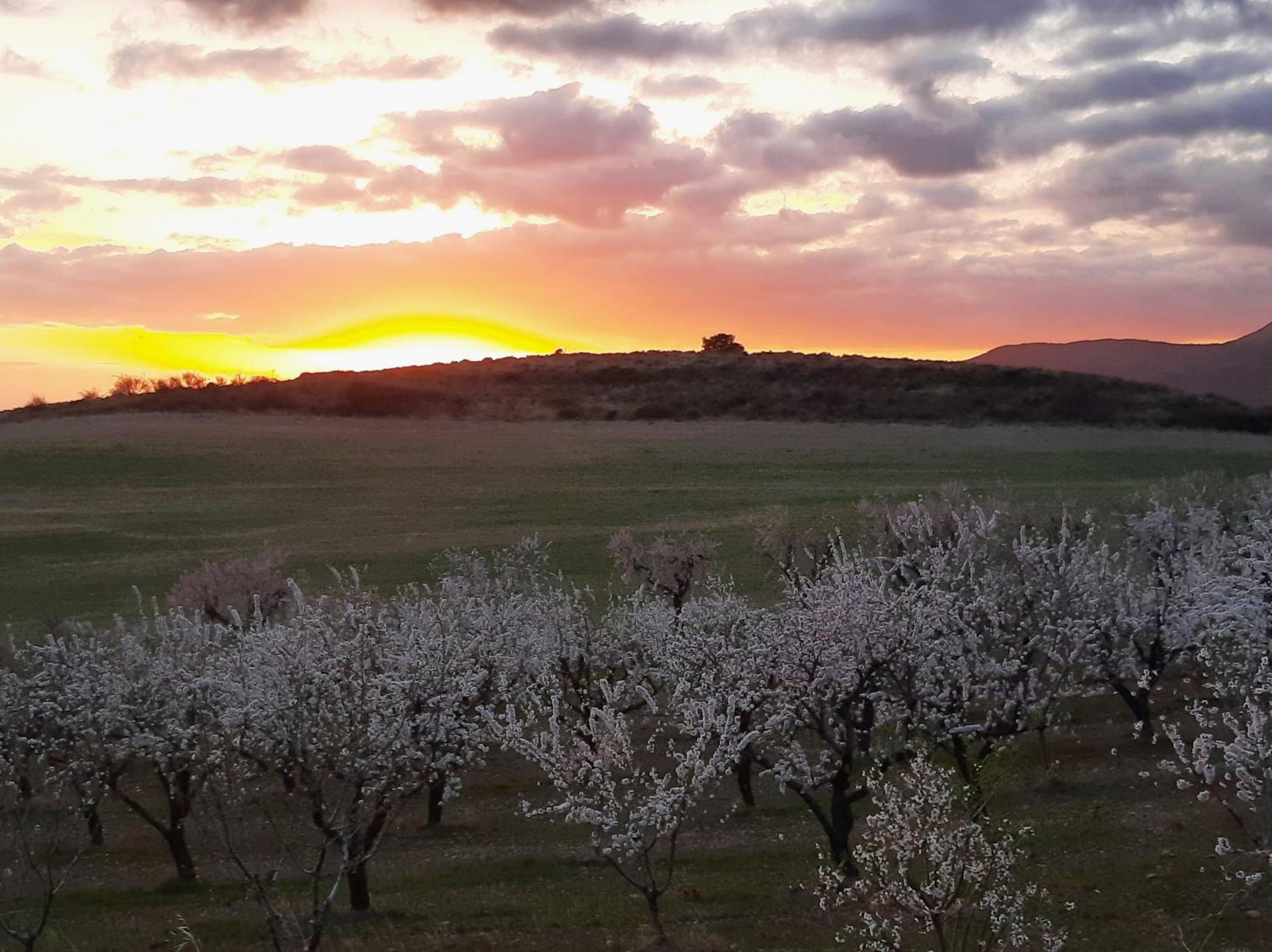 Hotel Rural Flor De Almendro 2*