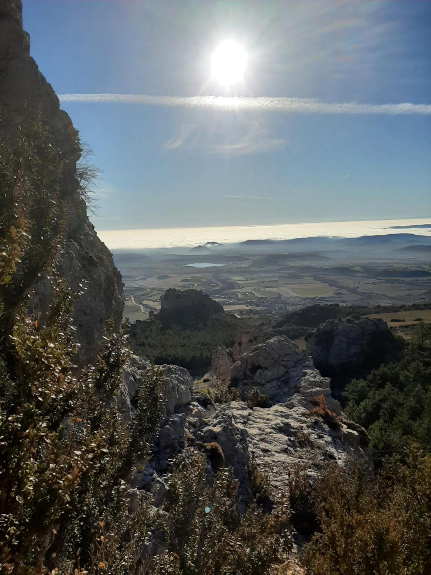 Rural Flor De Almendro