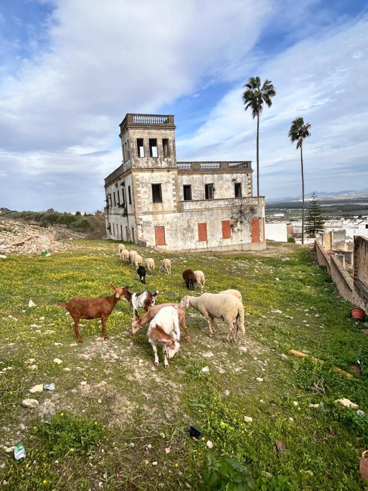 La Parada Bornos