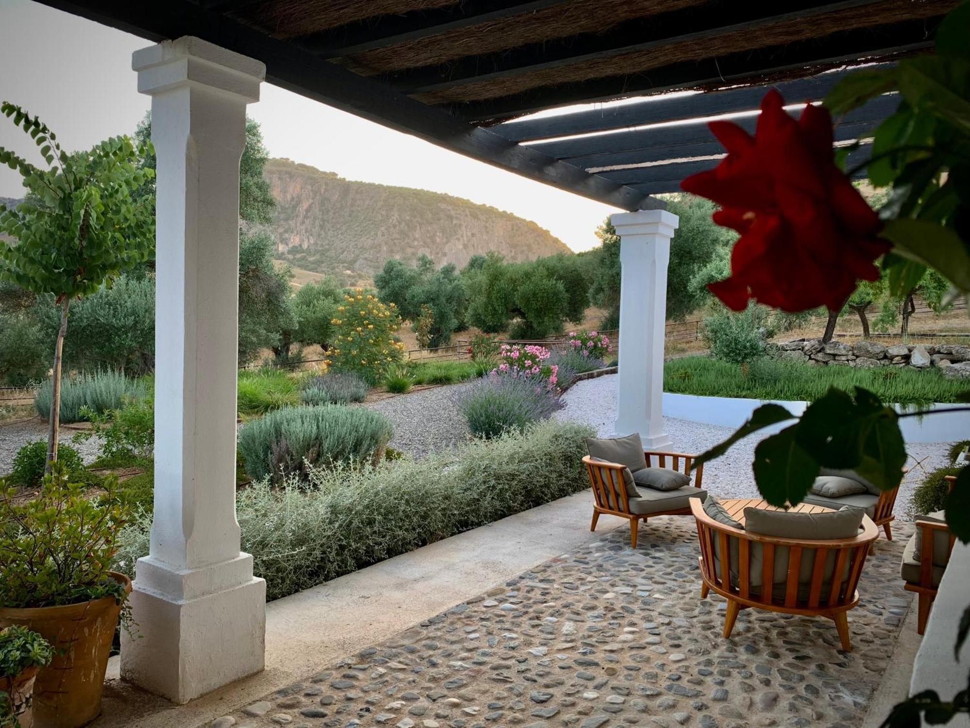 Villa Dream Country