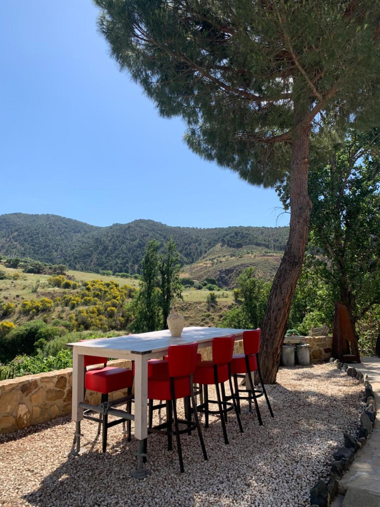 Bed & Breakfast El Bufon De La Corte *
