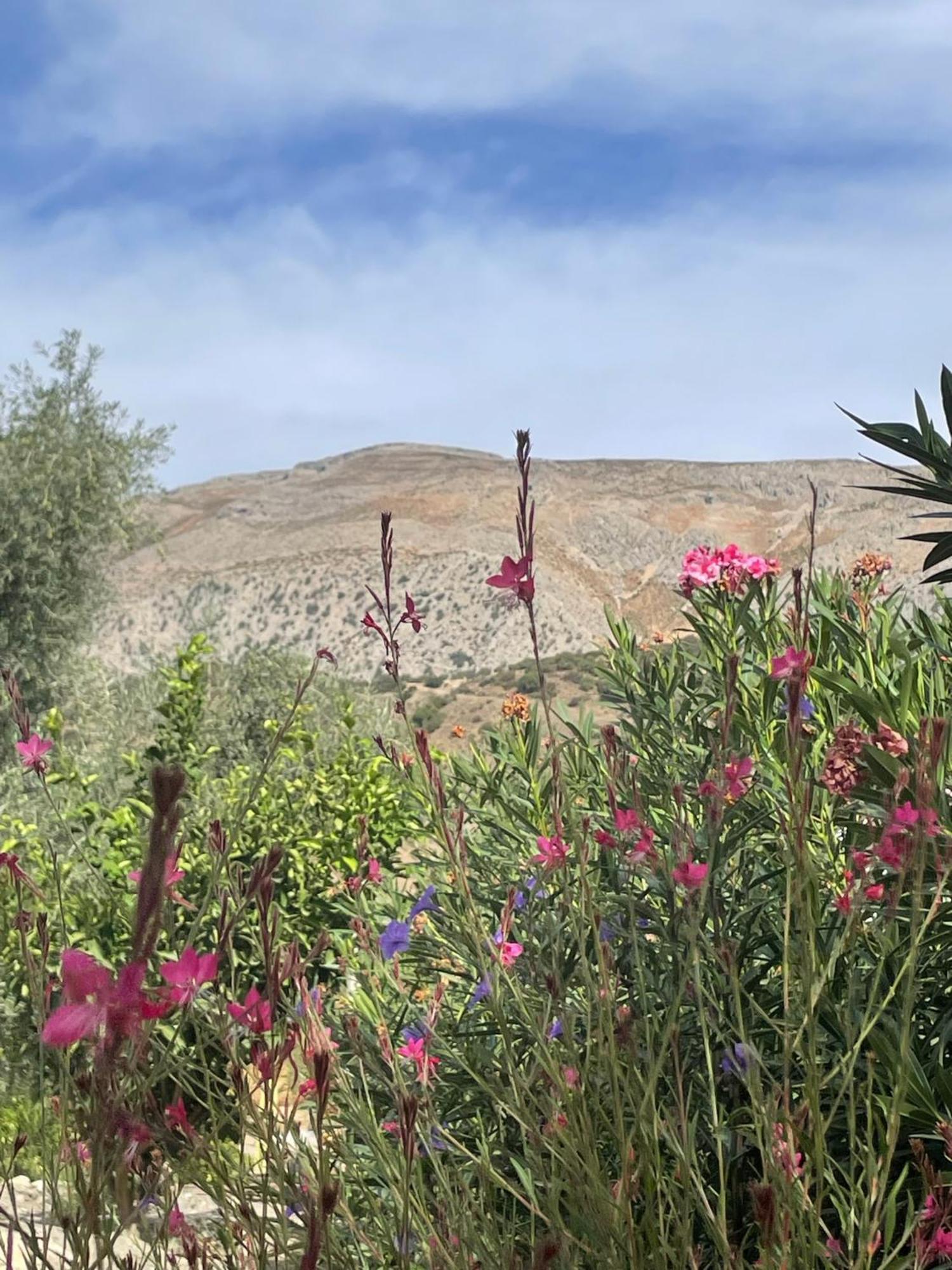 Valle Alora