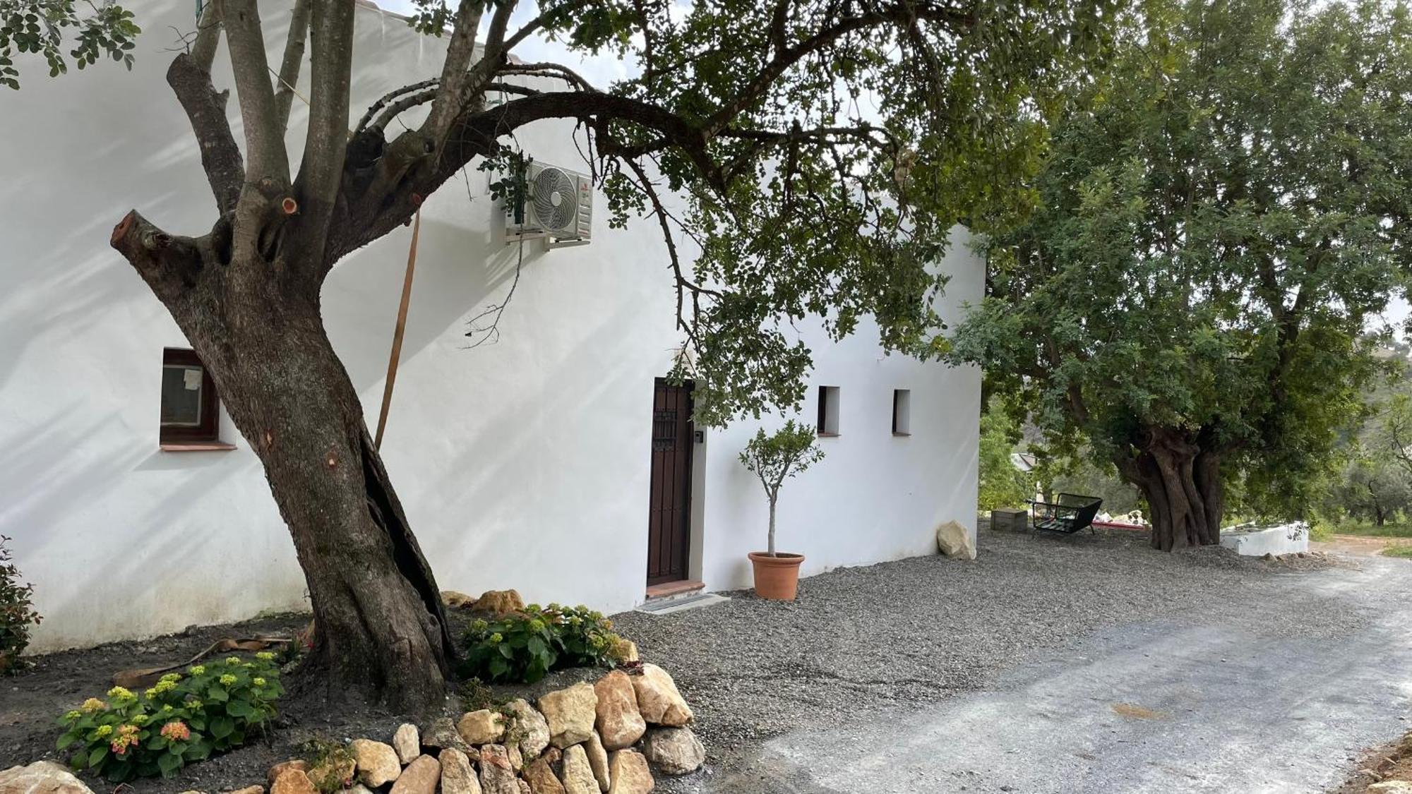 Bed & Breakfast Valle *
