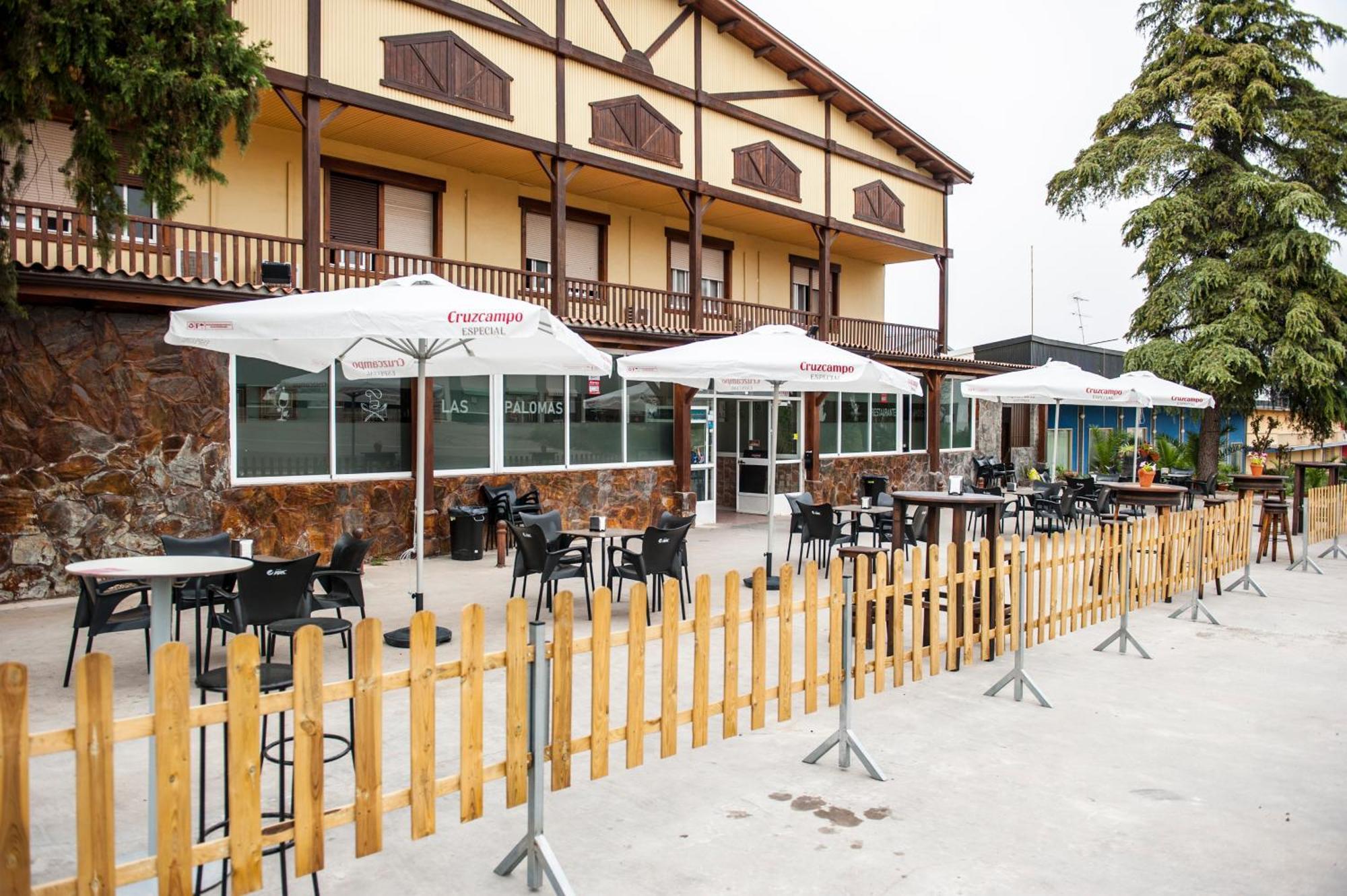 Palomas Lucena
