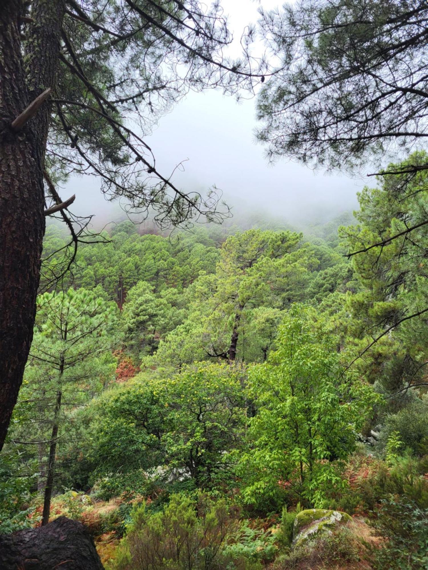 El Refugio De Gredos * Guisando