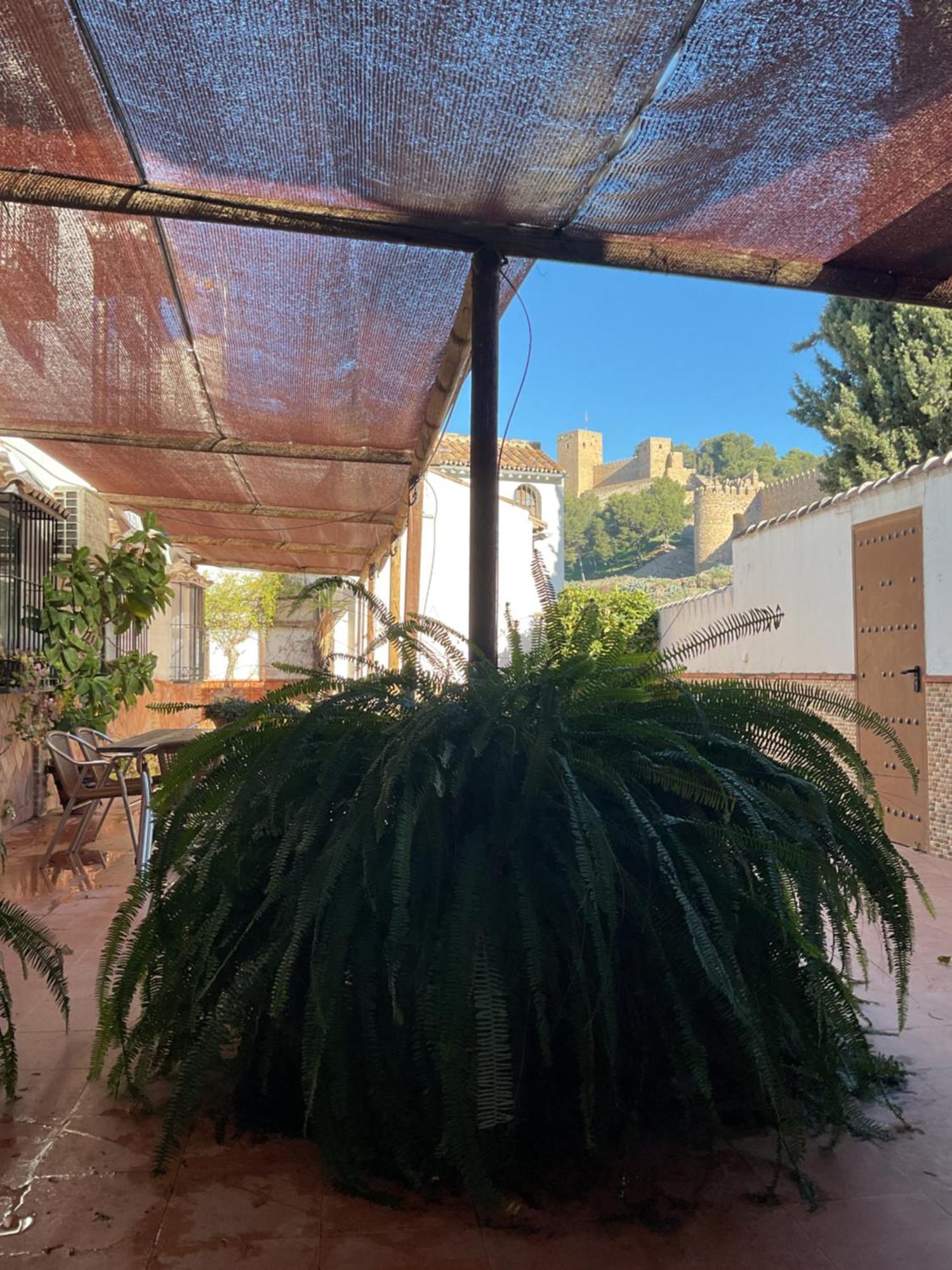 Holiday home Antikaria