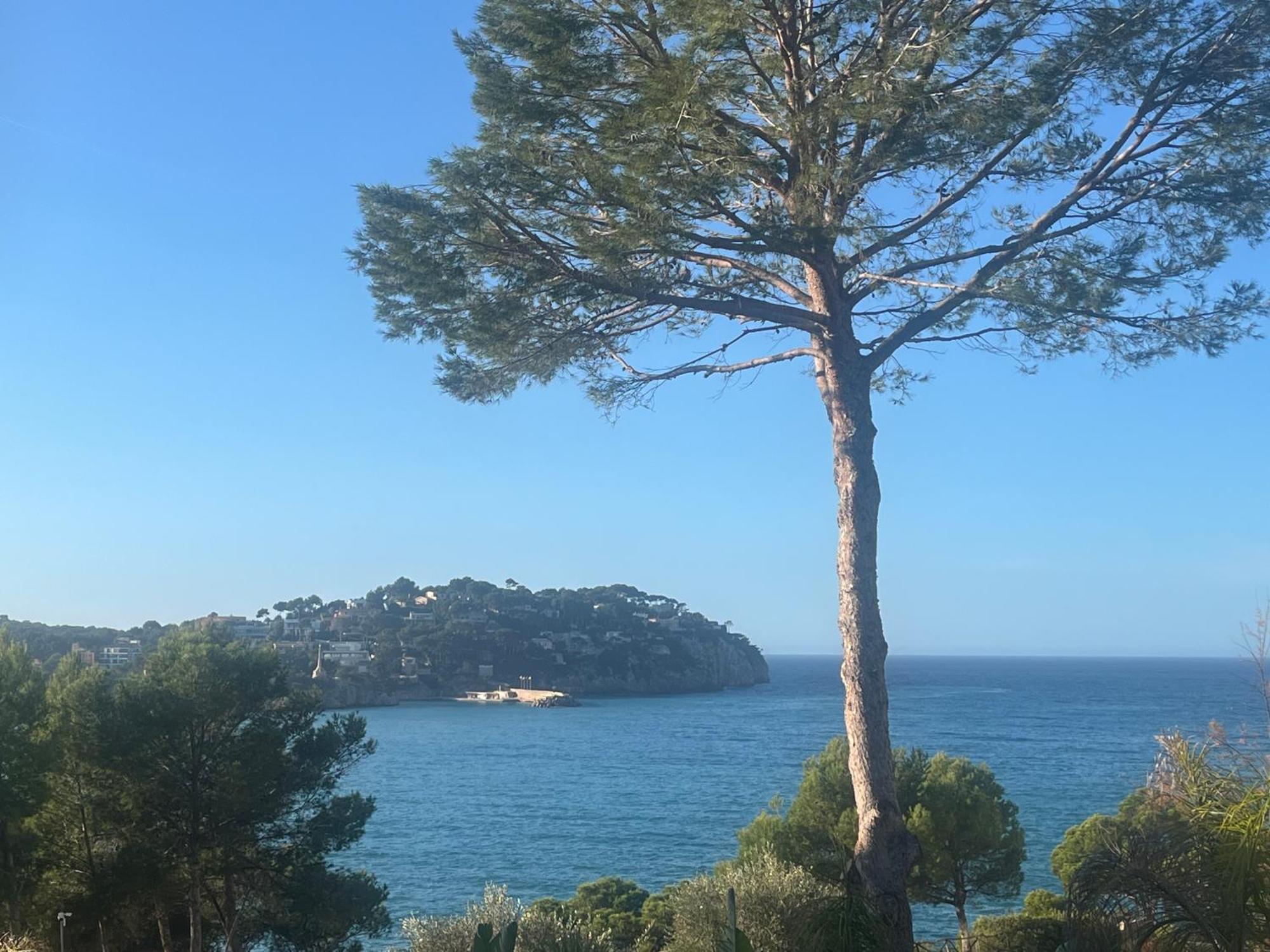 Apartamento Peace & Nature Costa De La Calma