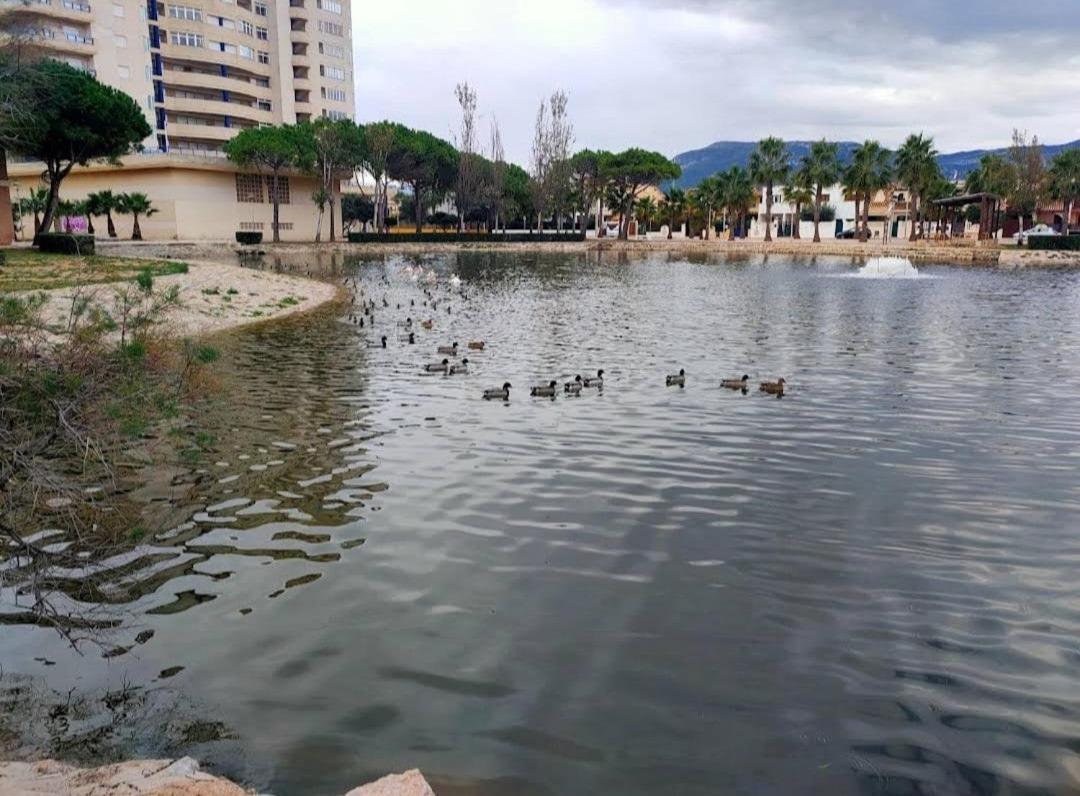 Arena Y Mar Apartment *