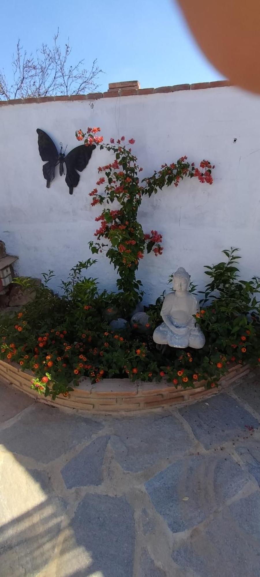 Casa Ceratonia Bed & Breakfast *