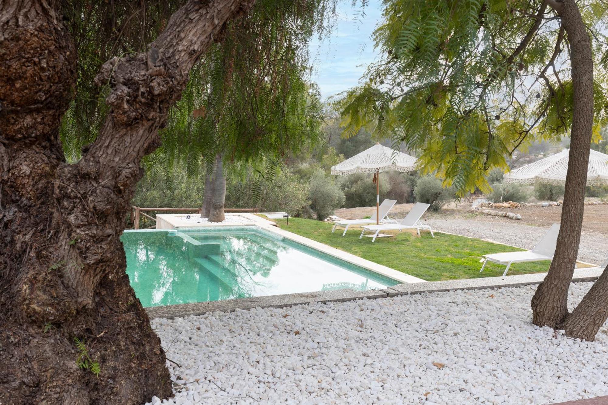 Bed & Breakfast La Familia Naranja