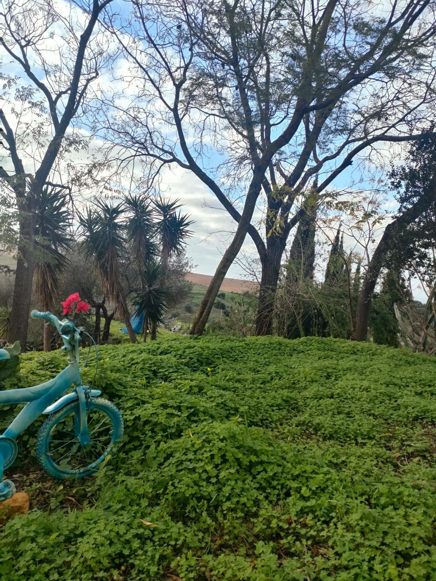 Chalet Brujas