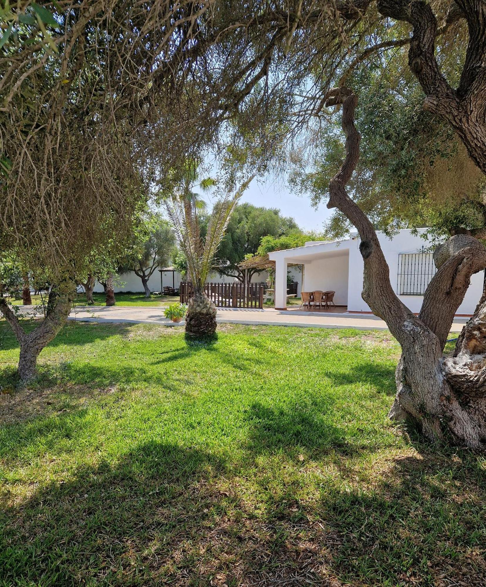 Casas De Flores