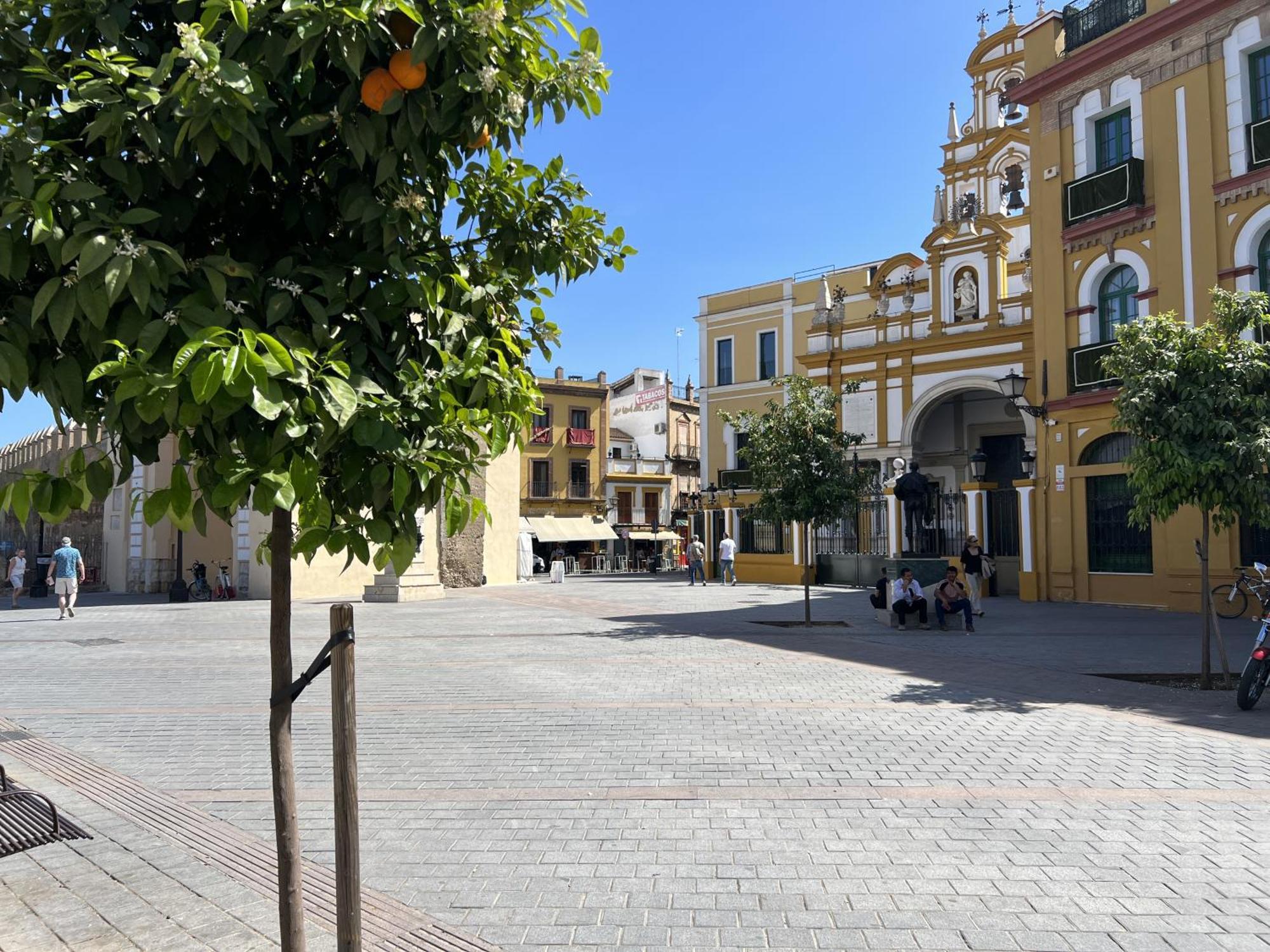 Aloja - Calle Pozo Sevilla