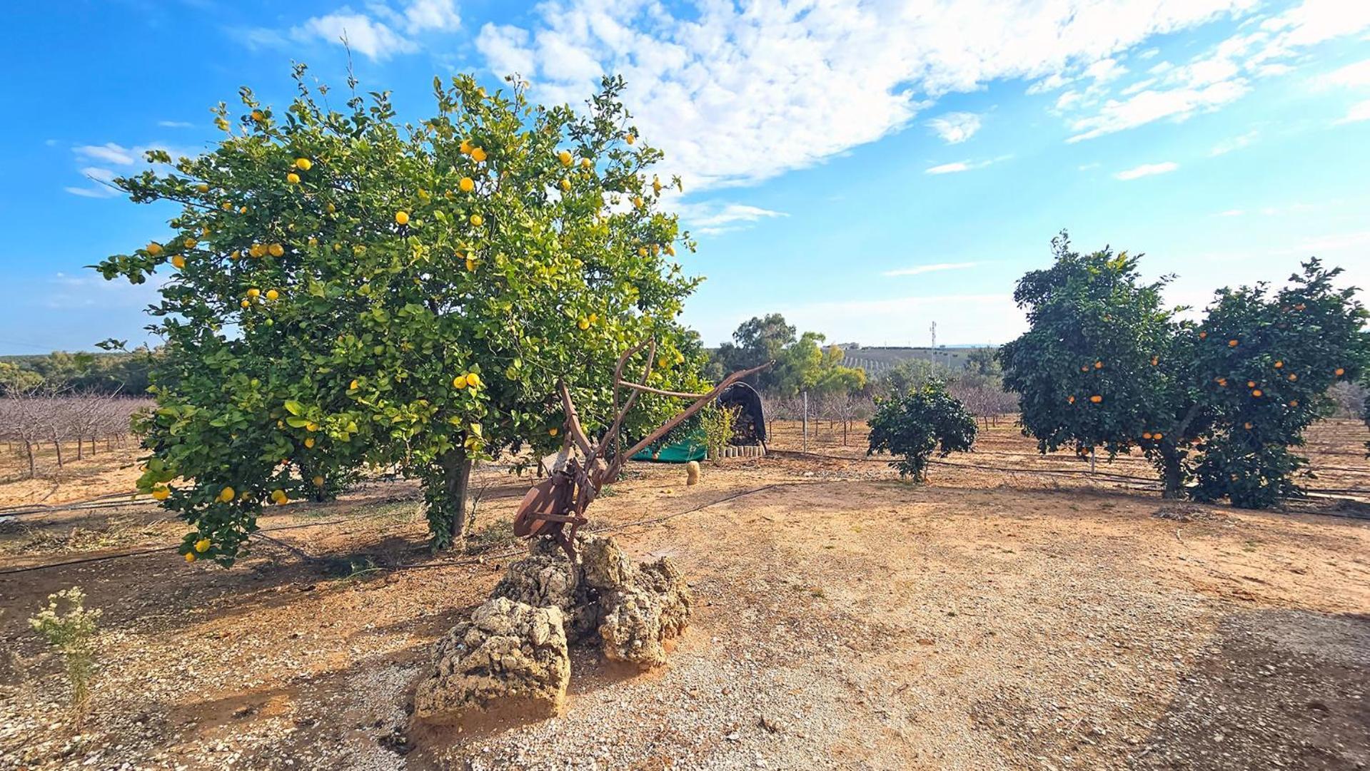 Limones Сasa de vacaciones La Puebla de Cazalla