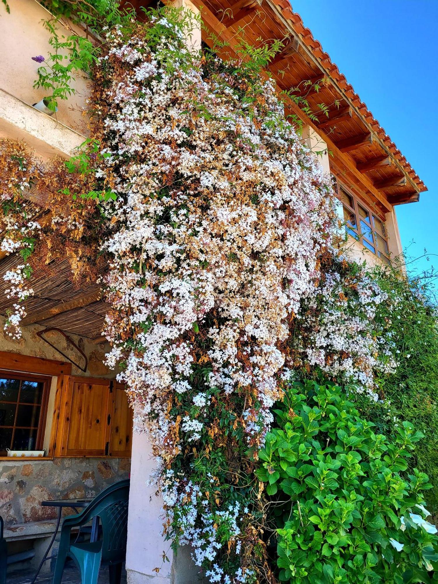 Balcón Del Camino Viejo Casa rural Valencia de Alcántara