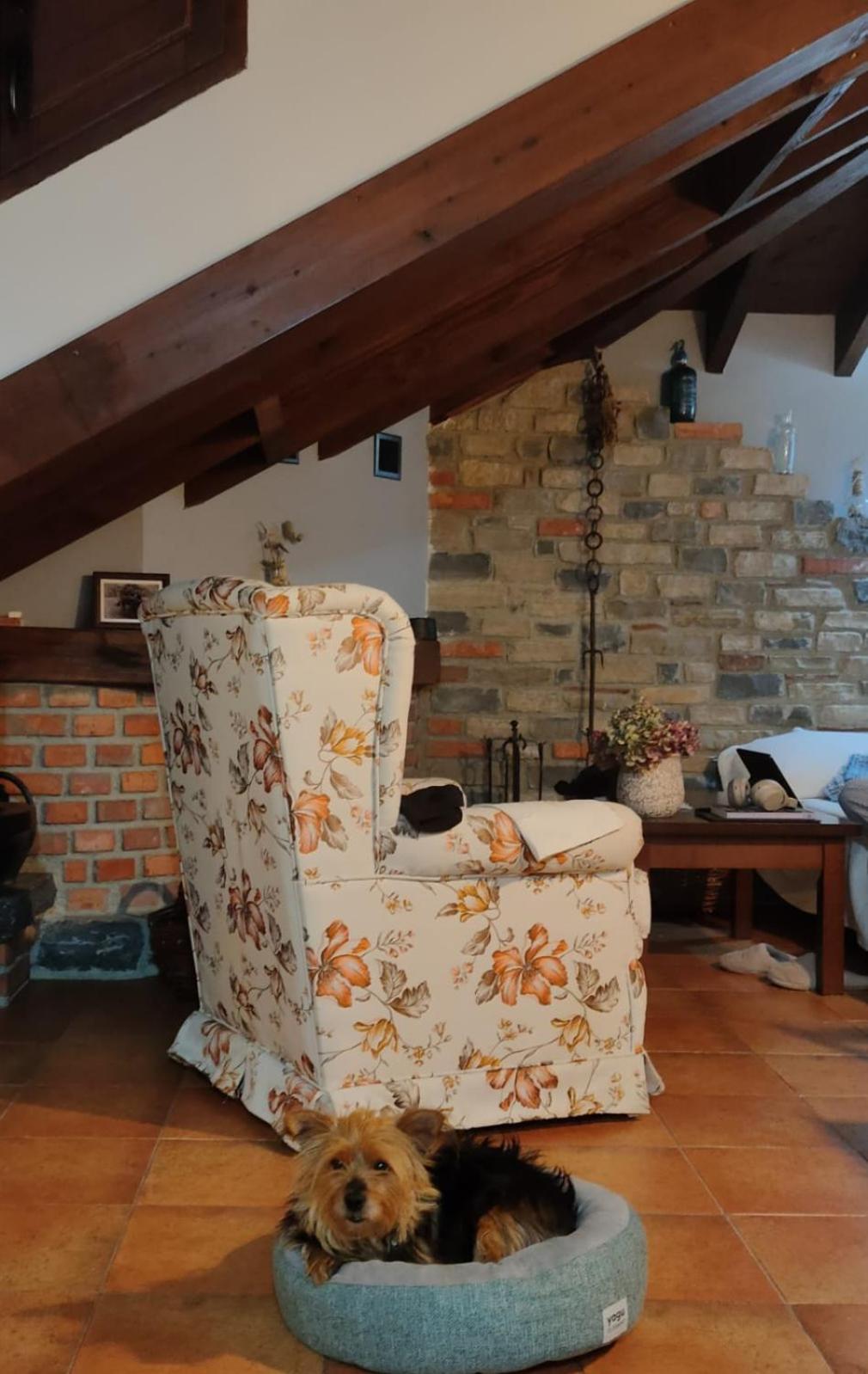 Apartamento Rurales El Collaín De Campiellos