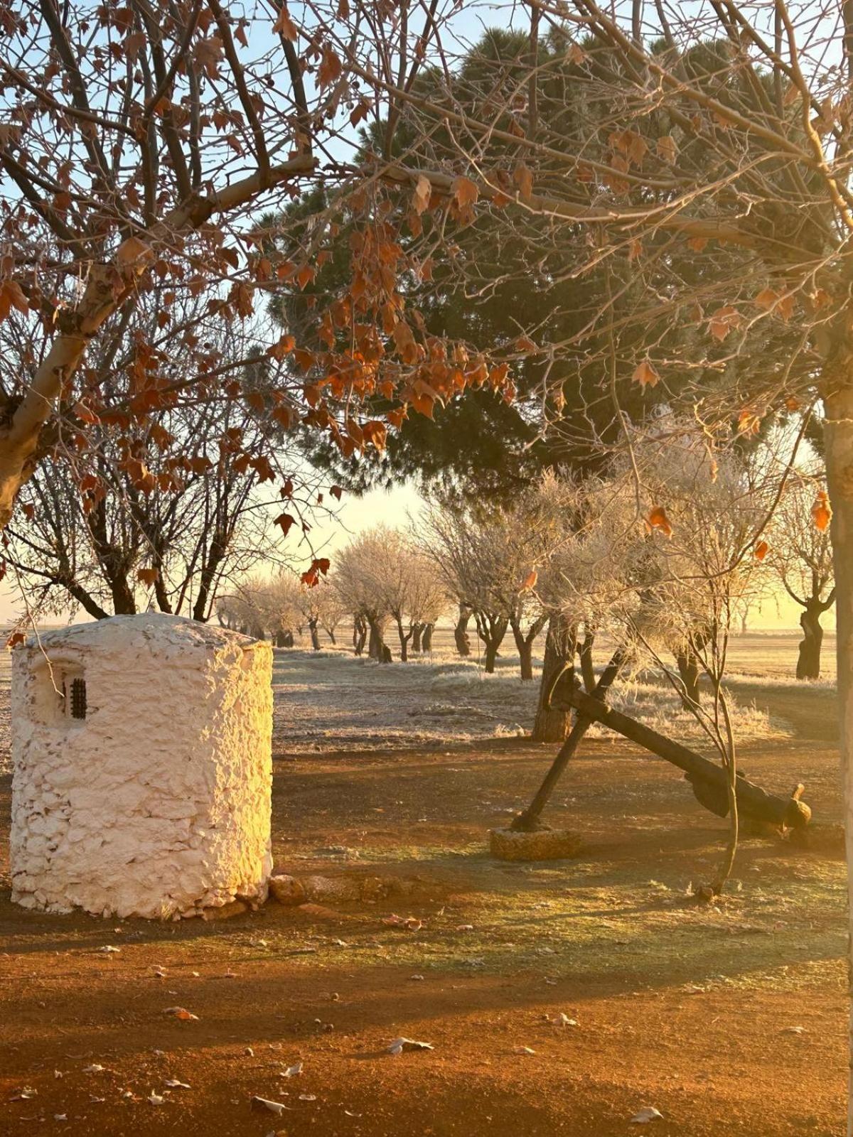 Holiday home La Huerta De Don Fernando *