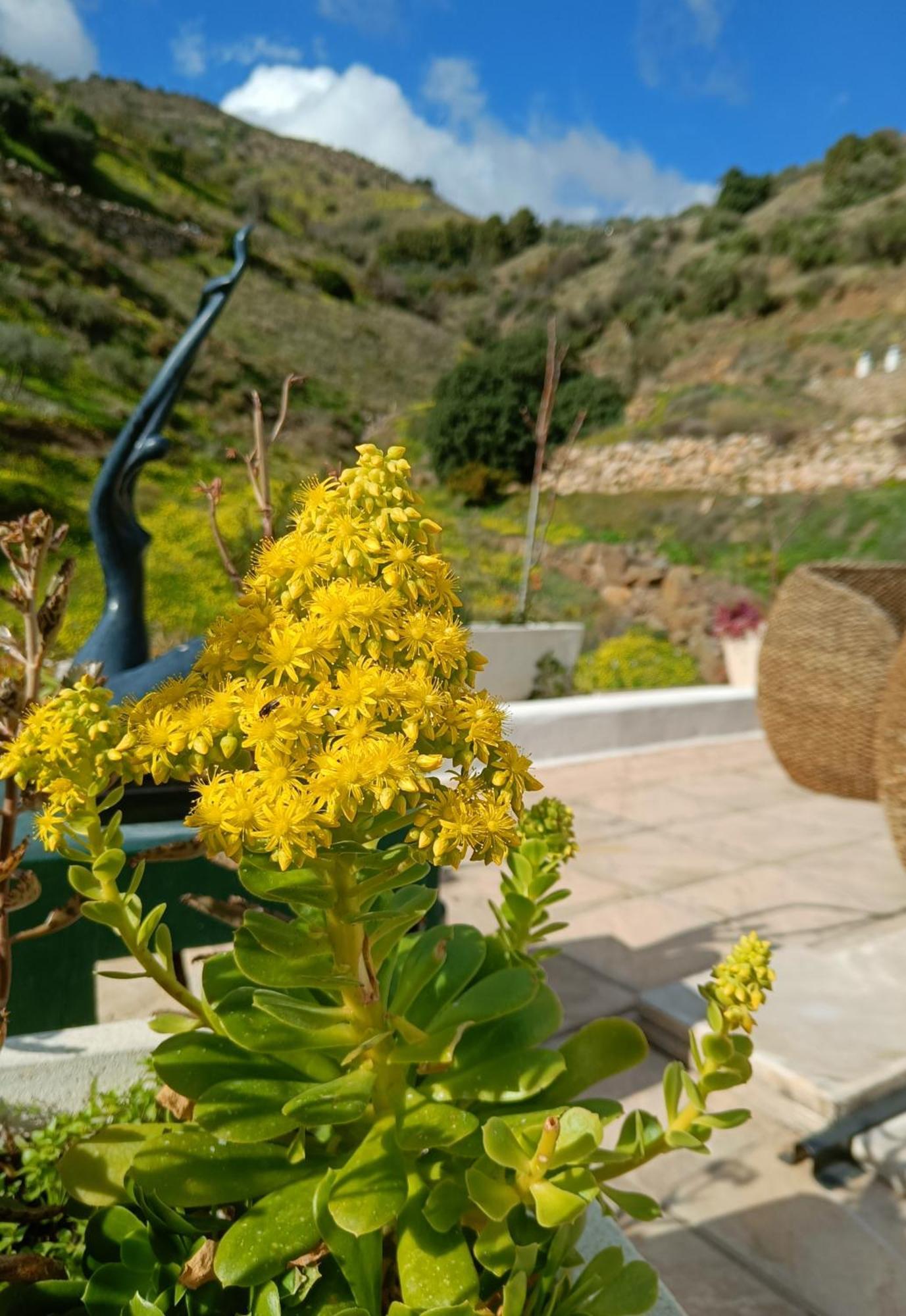 Holiday home Casa Medina - Private With Terrace And Sea View, 25 Minutes From Malaga